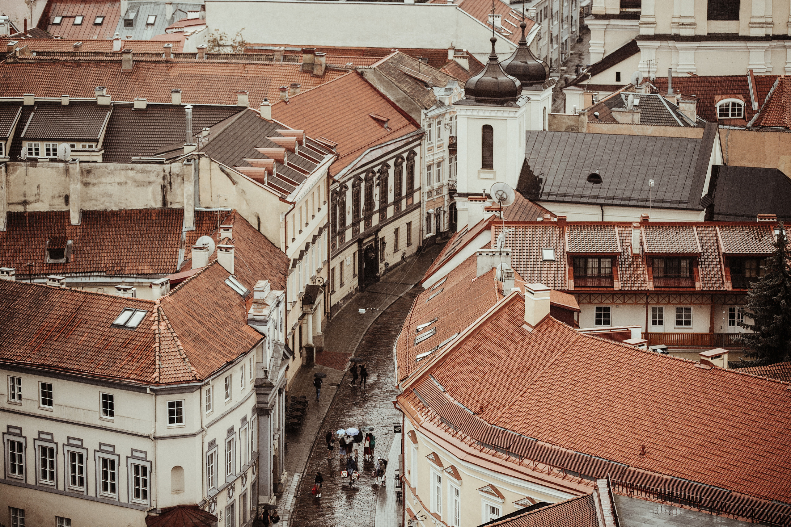 Liana / Edgar. Wedding and family photographer in Lithuania — Yvanessa Gelvano