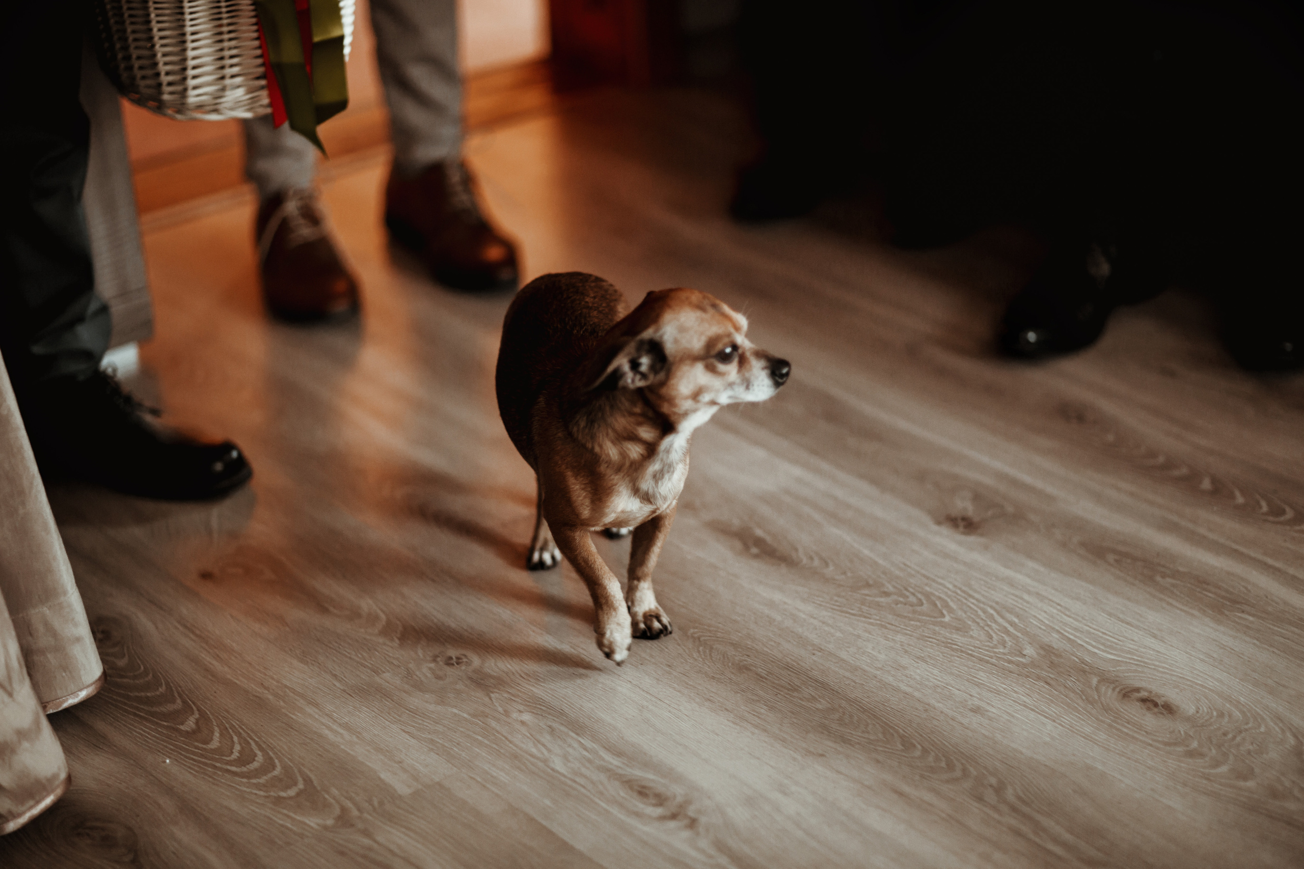 Agne / Arthur. Wedding and family photographer in Lithuania — Yvanessa Gelvano