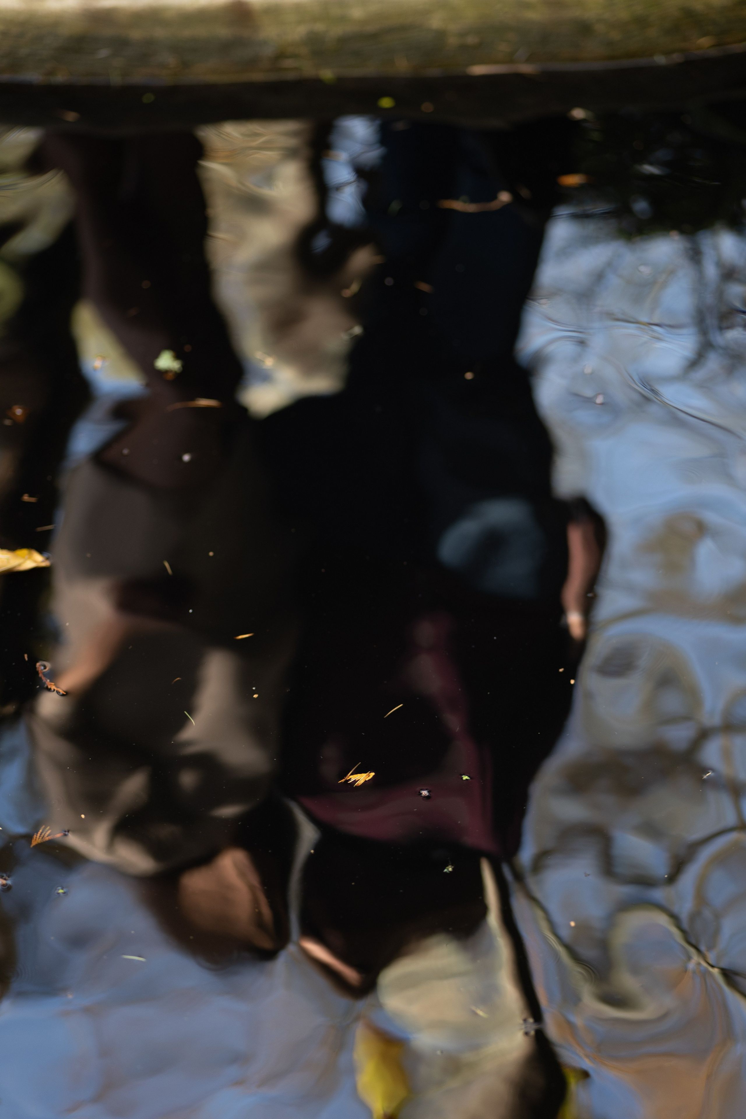 Photos de famille. Portrais créatifs de familles et individuels, Ile et Vilaine, France