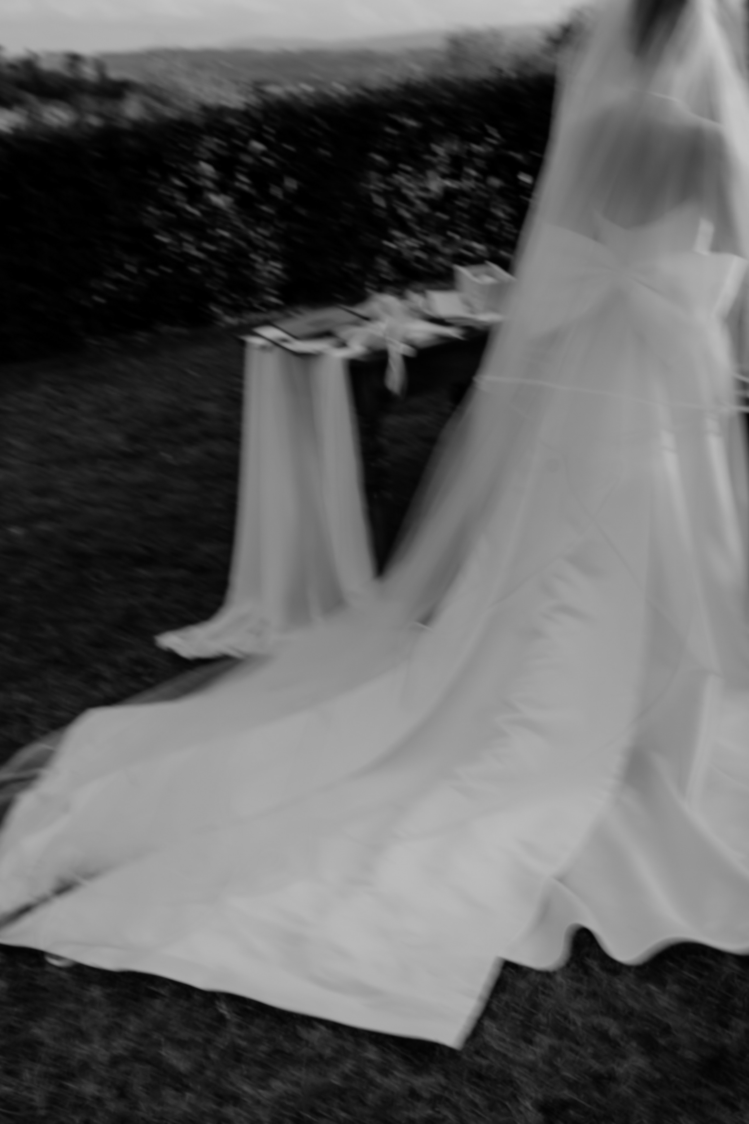 Dom&Ally. Весільний фотограф Вікторія Саврук