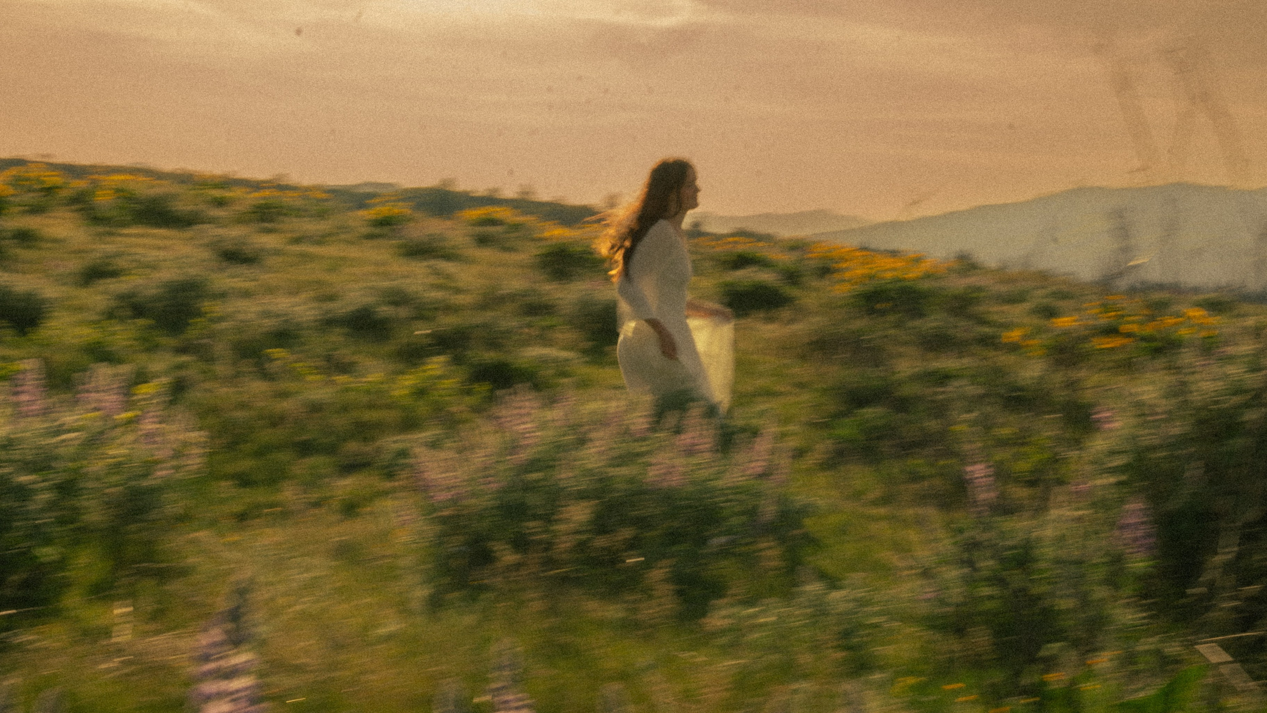 Soft light. Cinematic Photographer Oregon — Washington