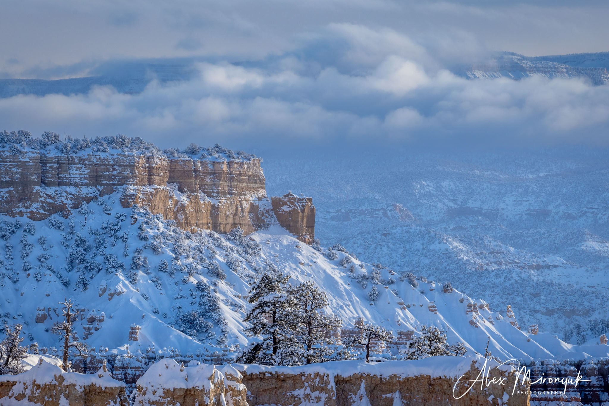 New Year In Utah. Pet, Senior, Landscape, portrait studio, photographer in Miami and Sou