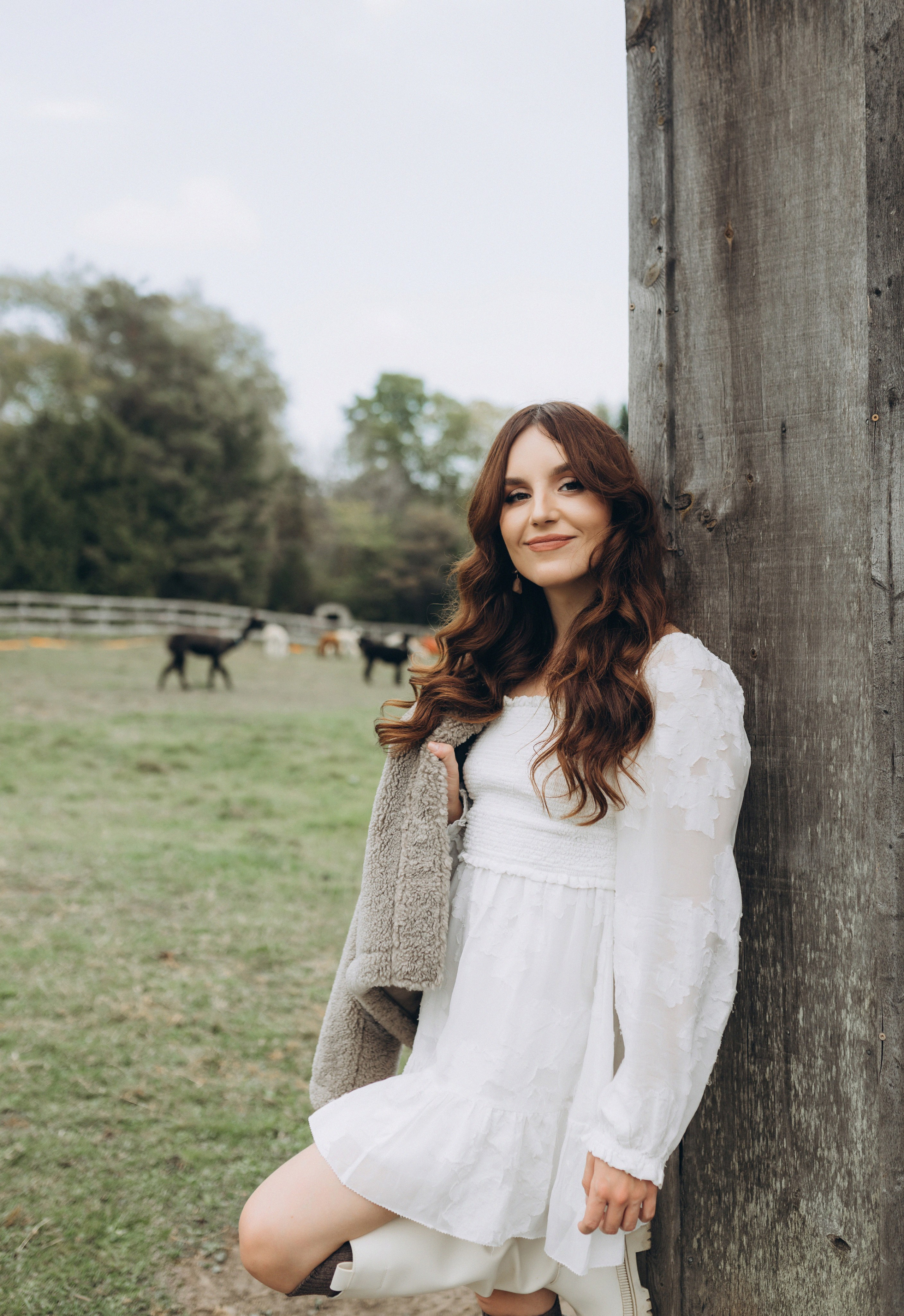 Alpacas Farm. Chernenko.photography