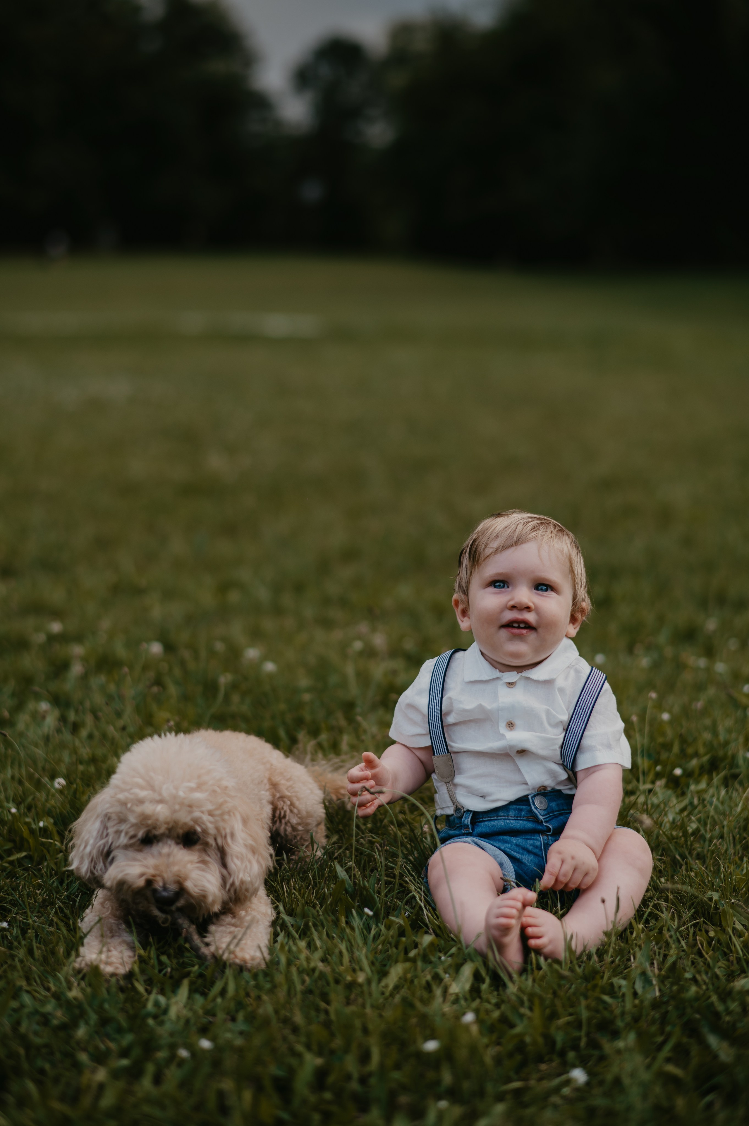 Sremska Kamenica. Ana Sladojevic