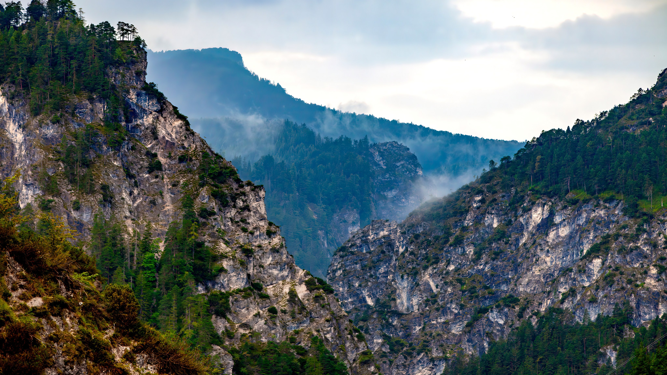 197.Ötscher Base Nature Park.Austria.21.8.2025. Путешествия в формате 360......