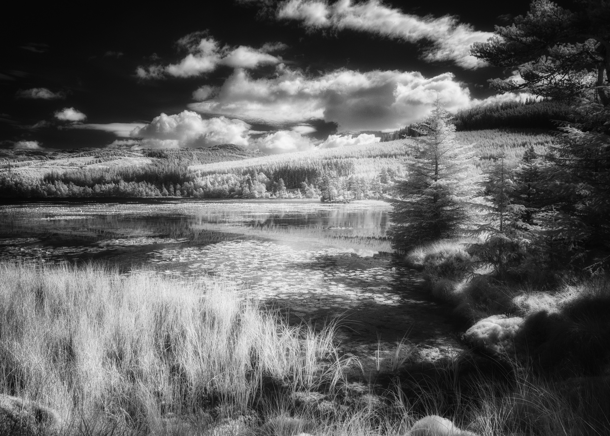 The Land. Infrared Scotland