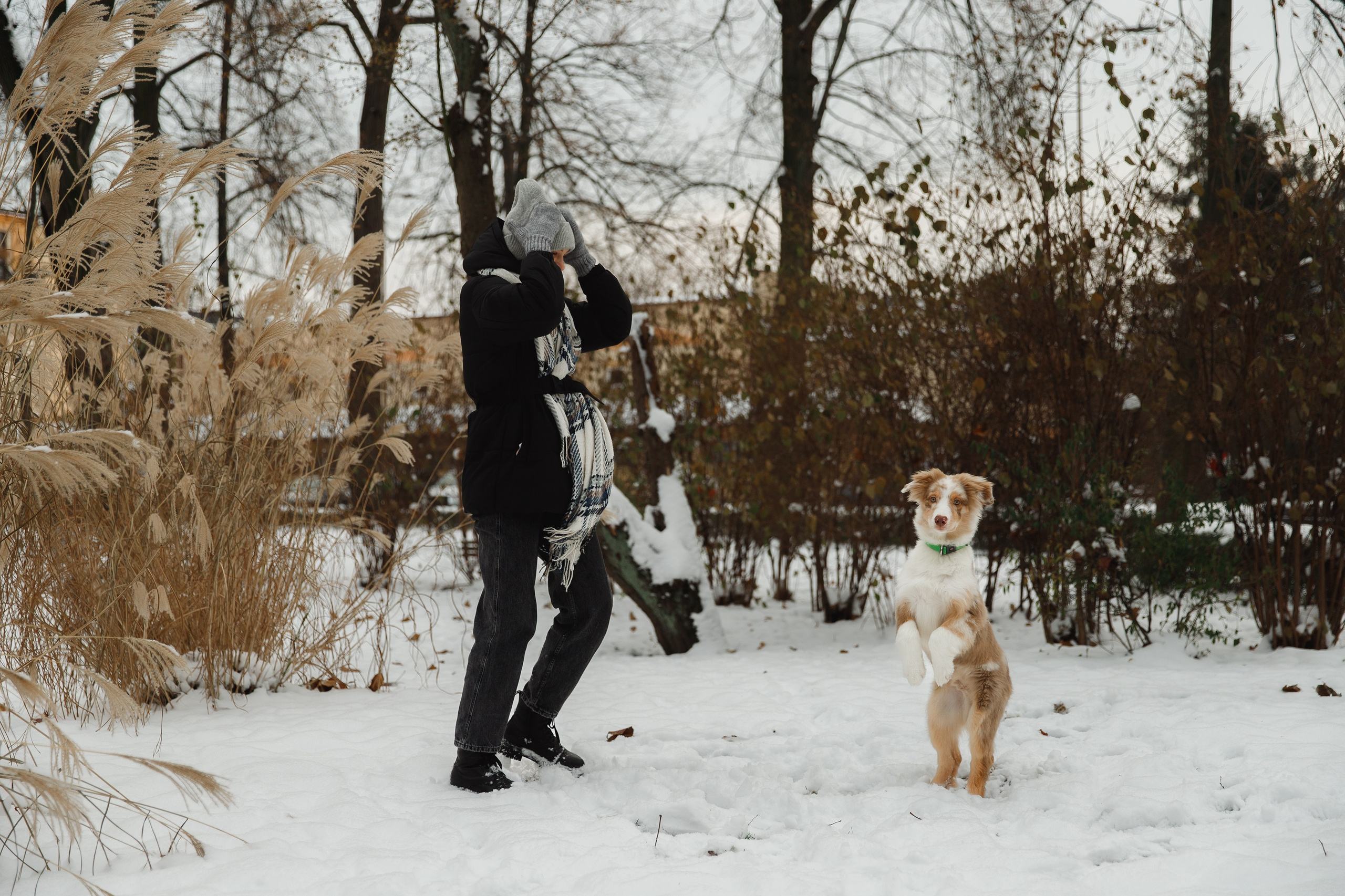 Fotografia psów Wrocław. Kaja | fotograf we Wrocławiu | ludzie i psy