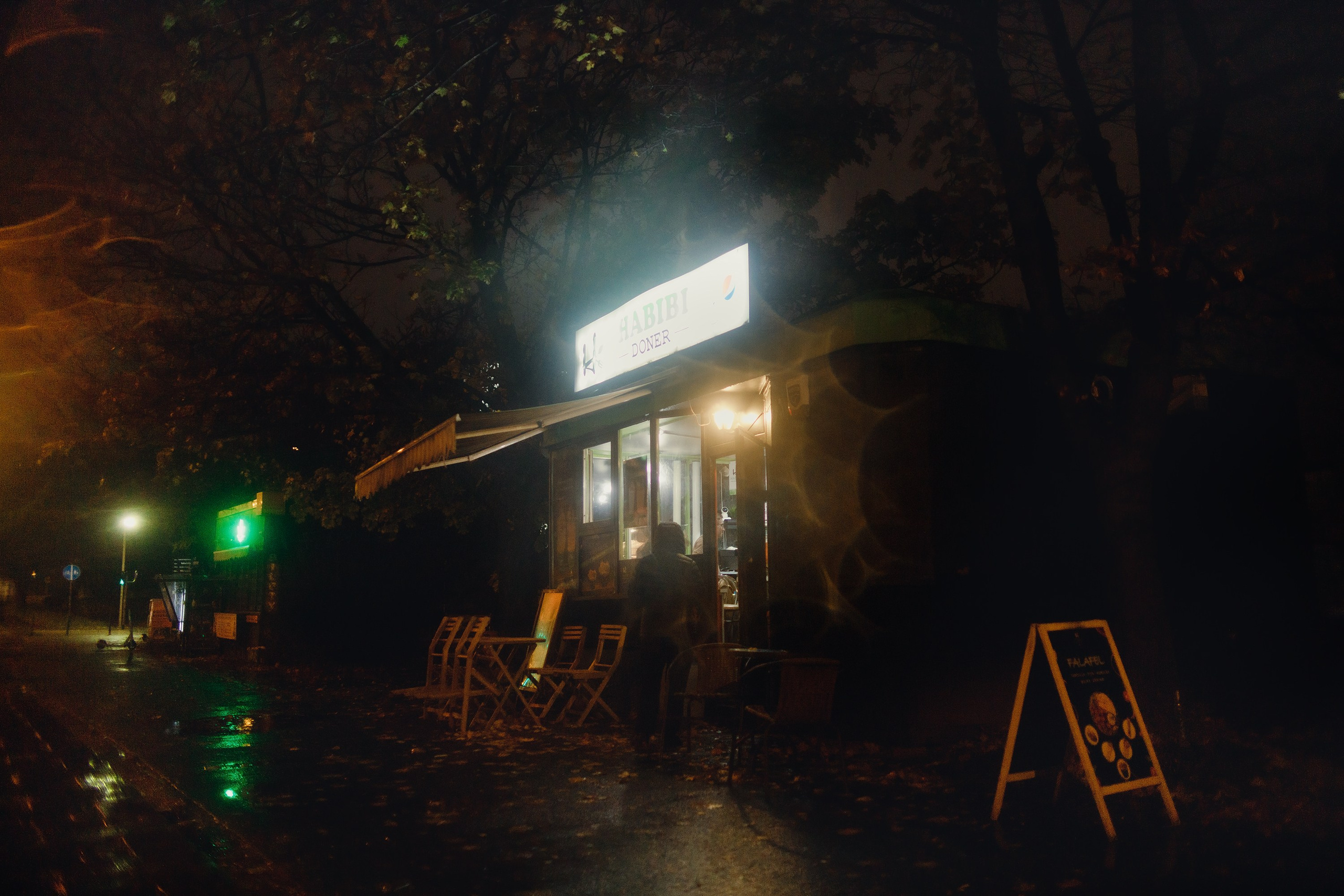 Night rainy Wroclaw. Kaja | fotograf psów we Wrocławiu