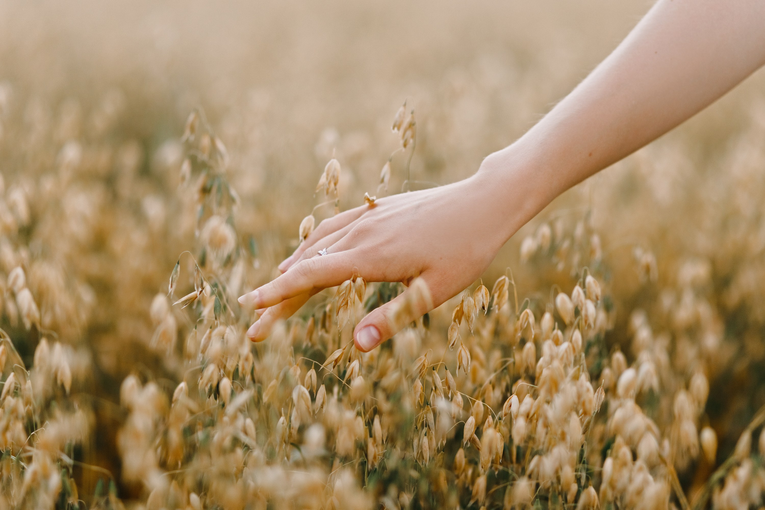Katya | tenderness in the field. Kaja | fotograf psów we Wrocławiu