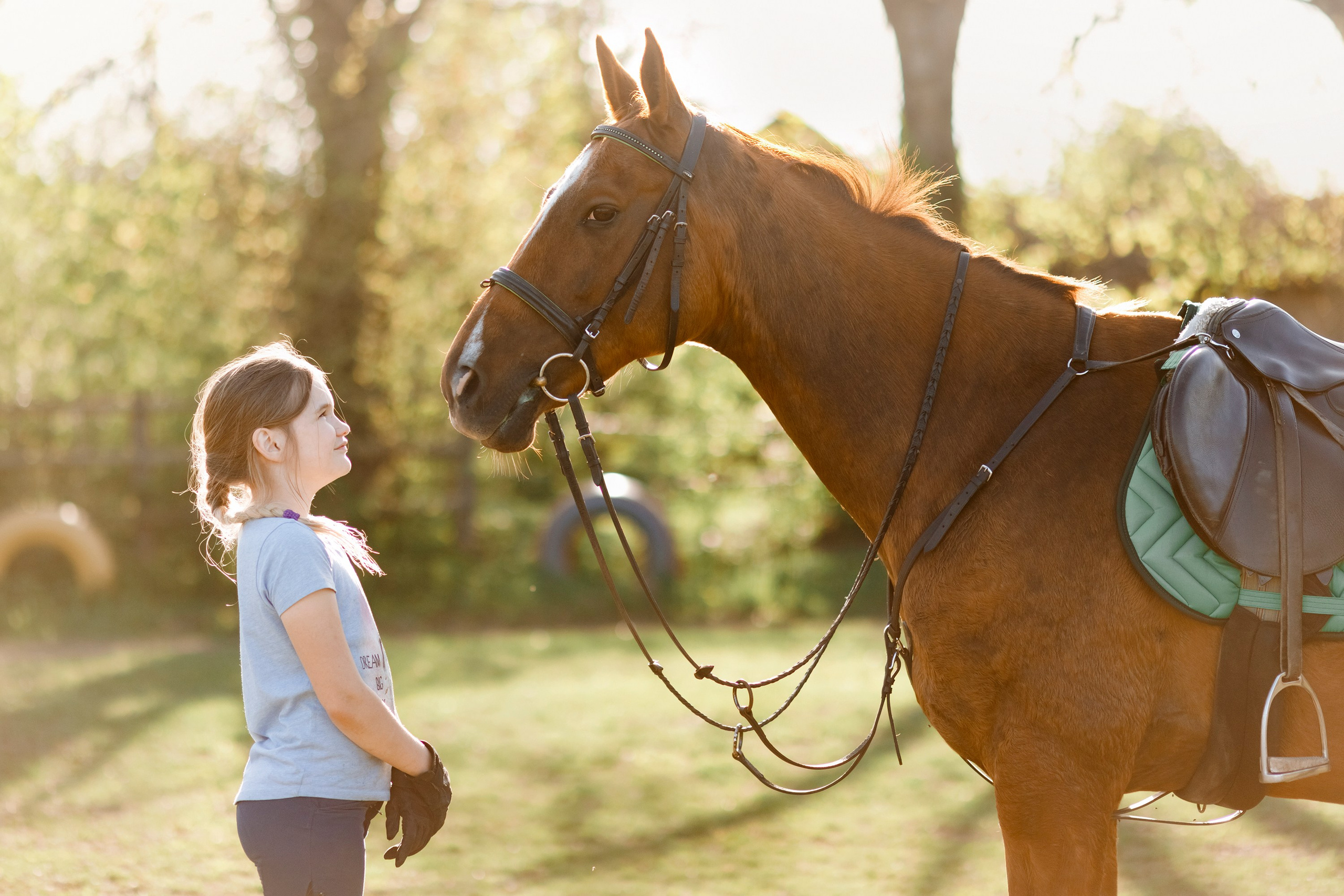 Girls & horses, summer. Kaja | fotograf psów we Wrocławiu