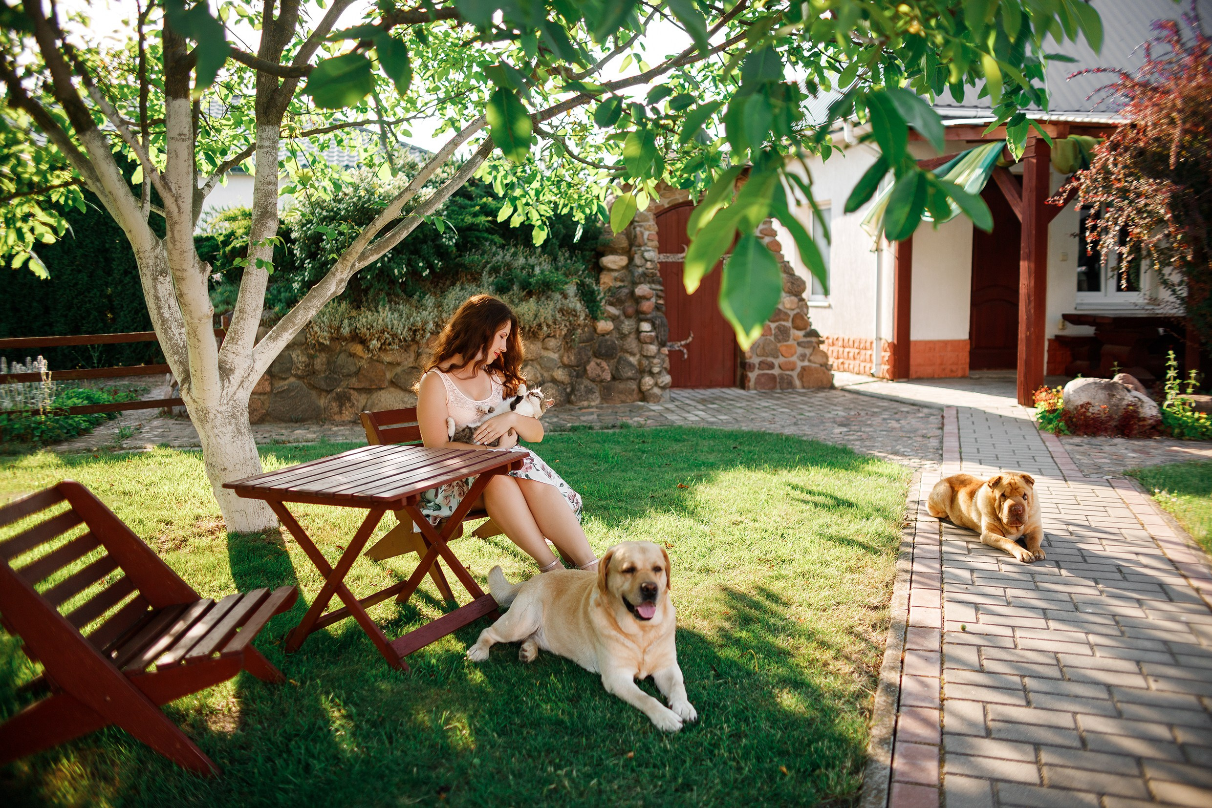 Nastya & Spark and Boss. Kaja | fotograf psów we Wrocławiu