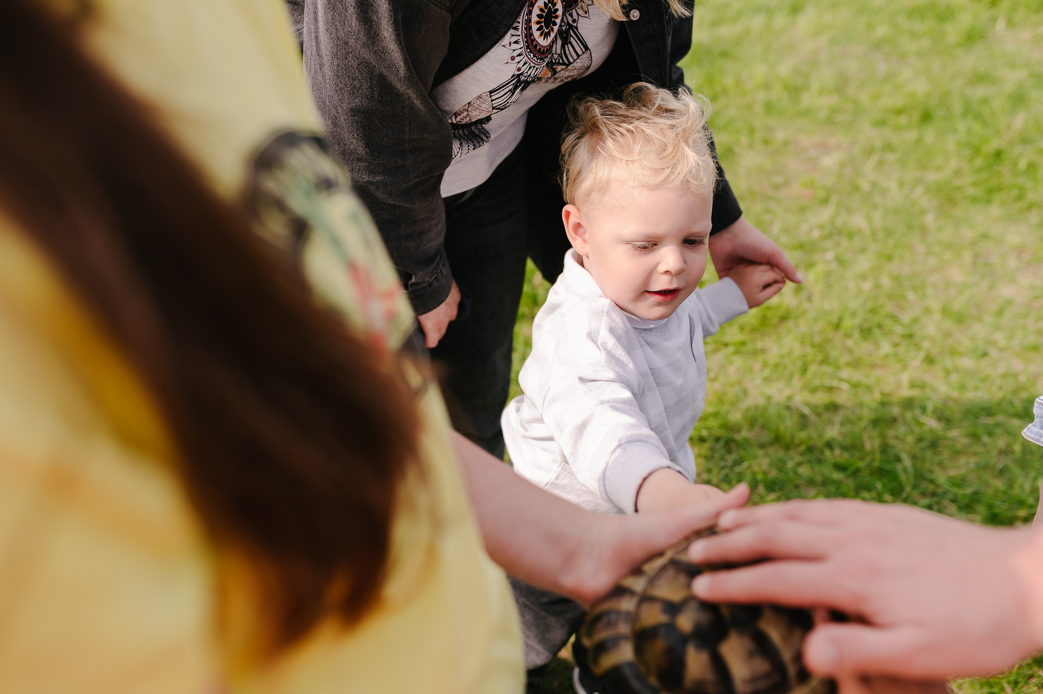 Saulė virė | Laimės festivalis. Rokas Baranauskas fotografija