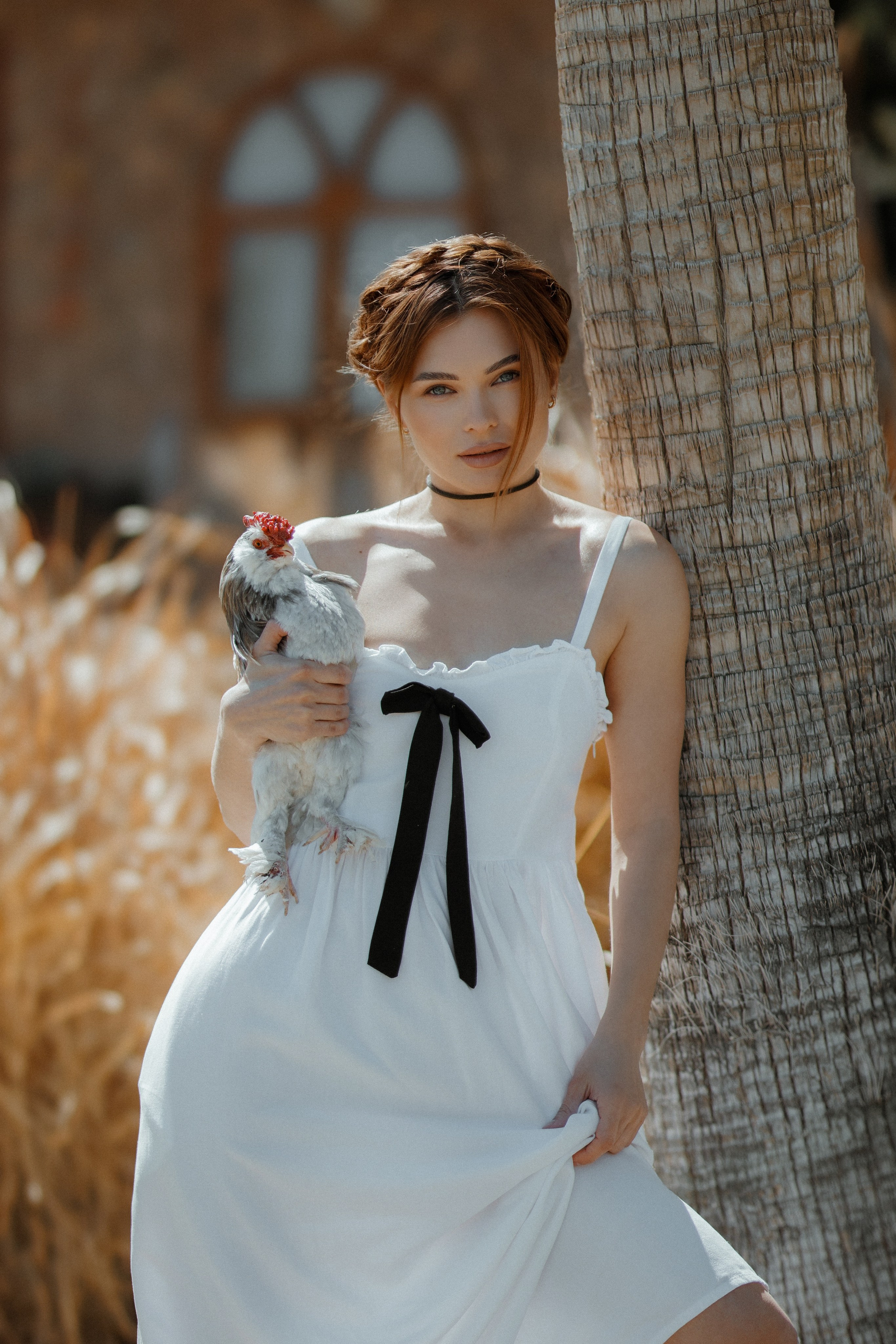 Курица. Фотосессия с курицей. Фото с курицей. Kemer Butiq garden. Локации в Кемере. красивые Локации в Кемере.Локации в Кемере для фотосессии. Локации в Кемере с курицей. Локации в Кемере турция.