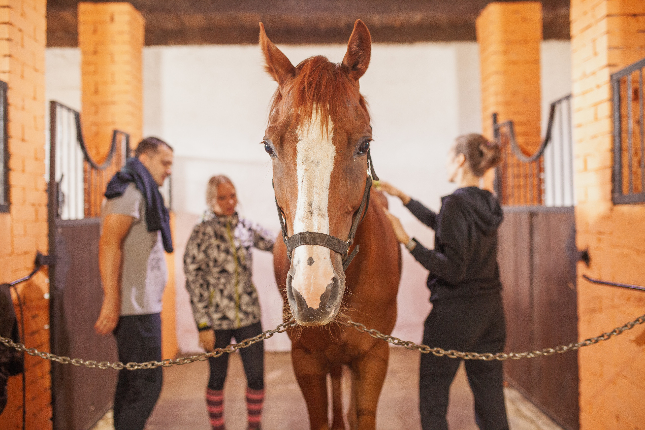 Reportage. Photographer in England Ekaterina Romanova