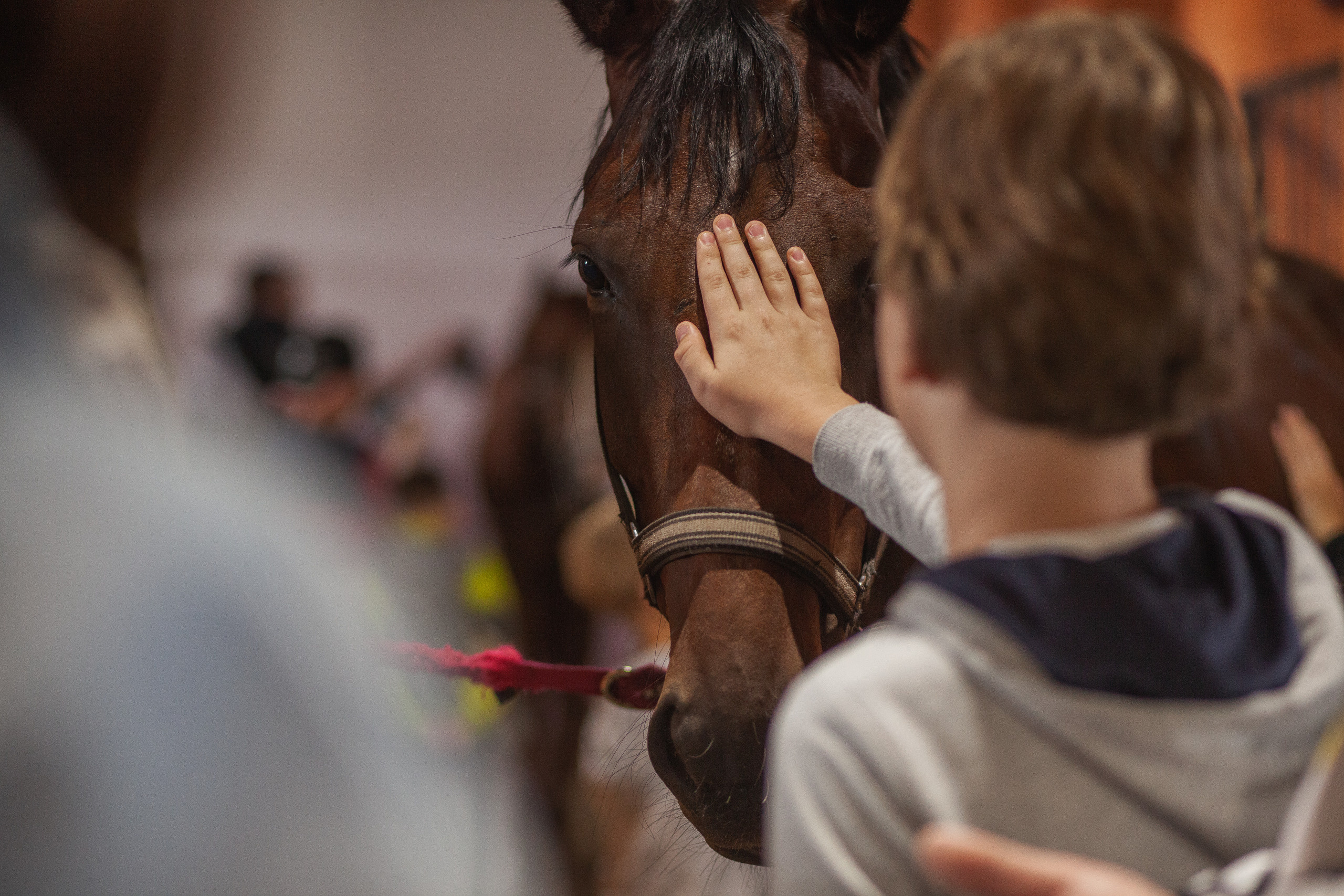 Reportage. Photographer in England Ekaterina Romanova