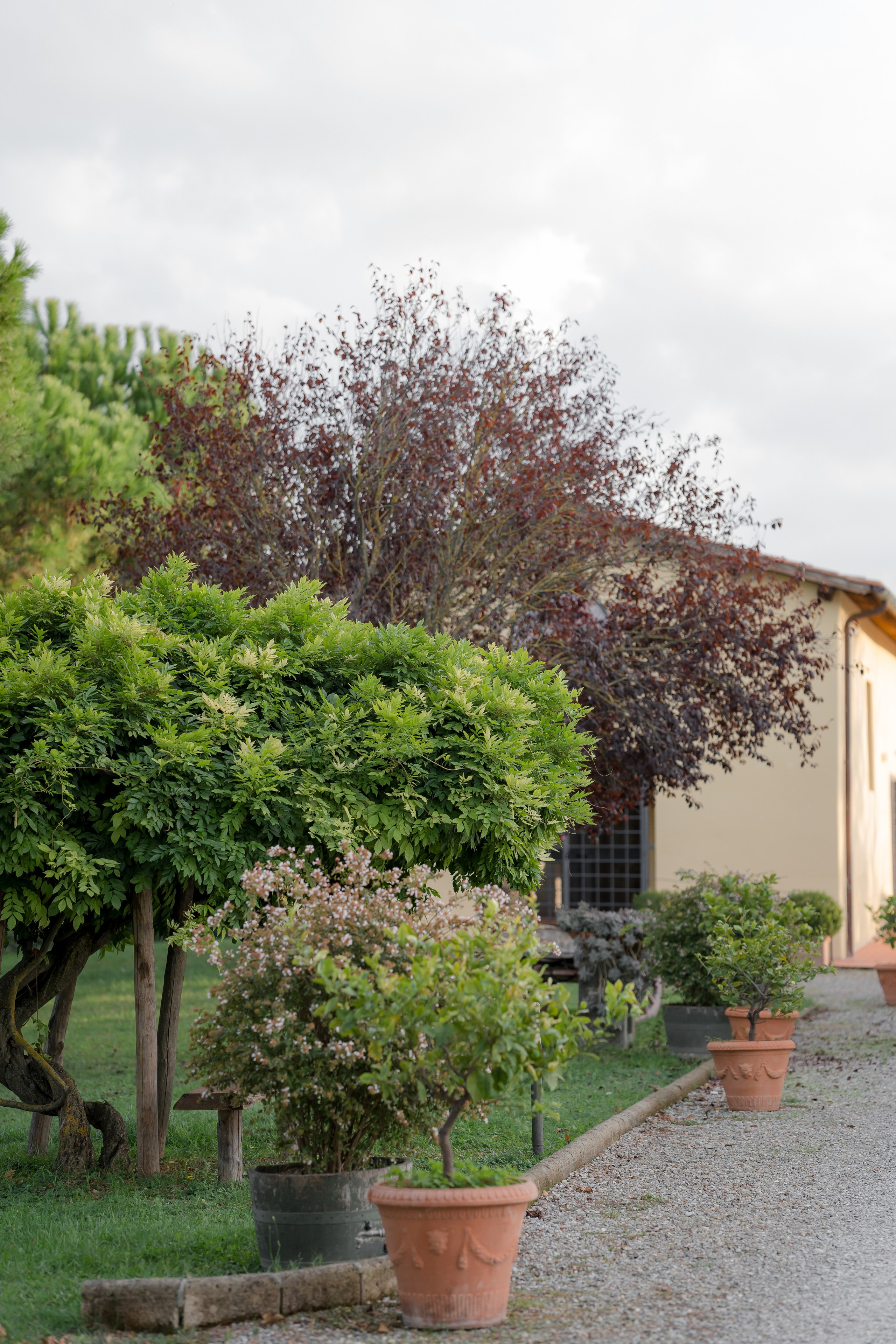 Dom&Ally. Весільний фотограф Вікторія Саврук