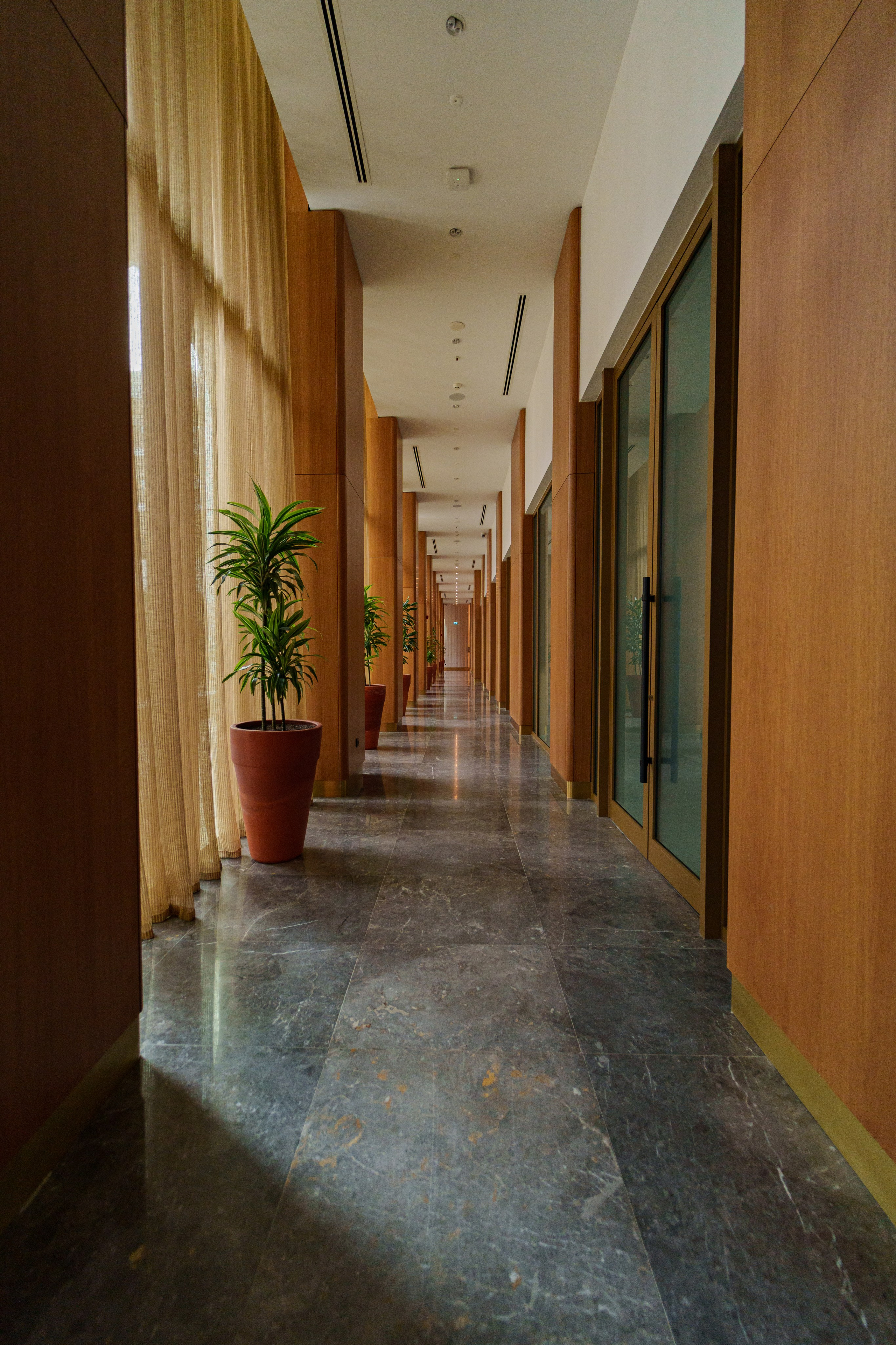 İnterior. Javidan.media