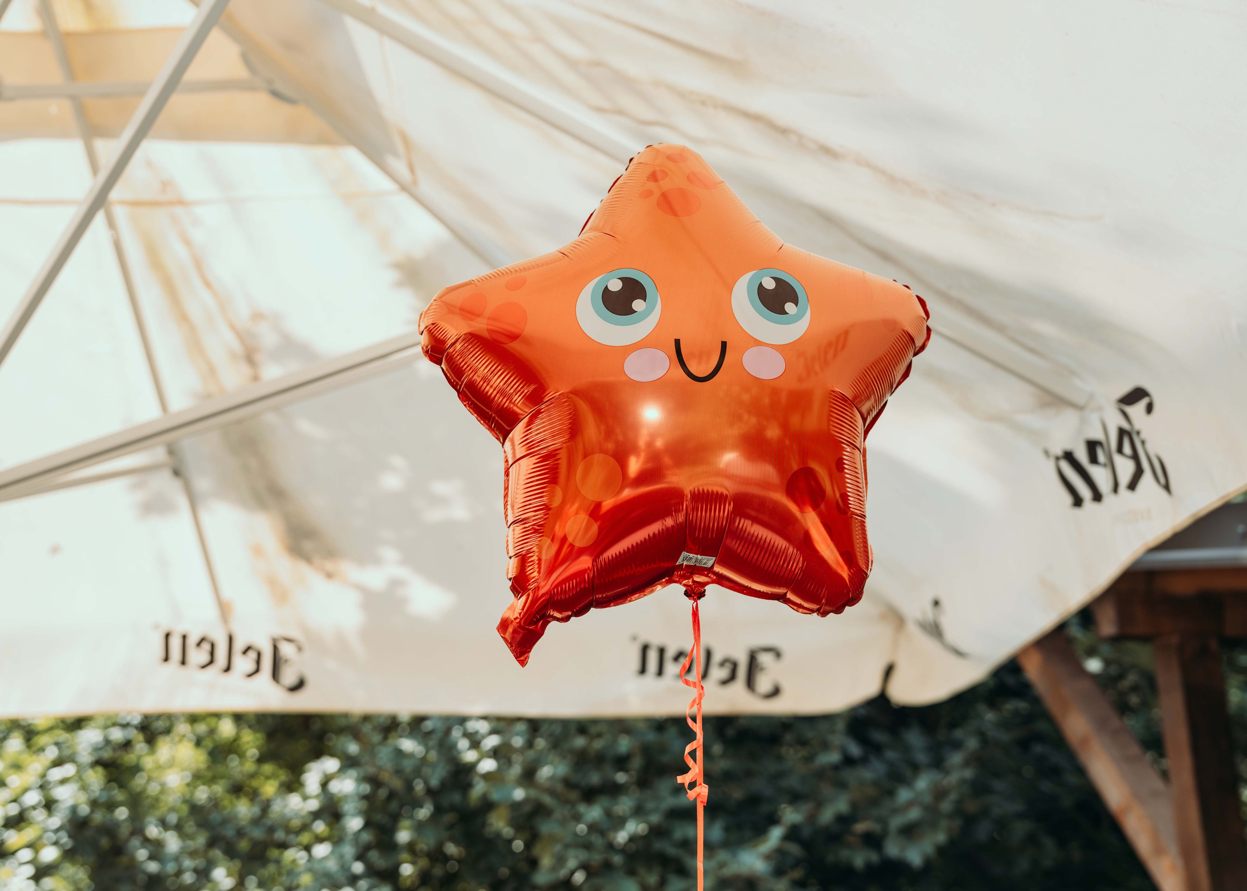 FOTOGRAFISANJE ROĐENDANA. DEČIJI FOTOGRAF BEOGRAD|NOVOGODISNJE FOTOGRAFISANJE|CAKE SMASH