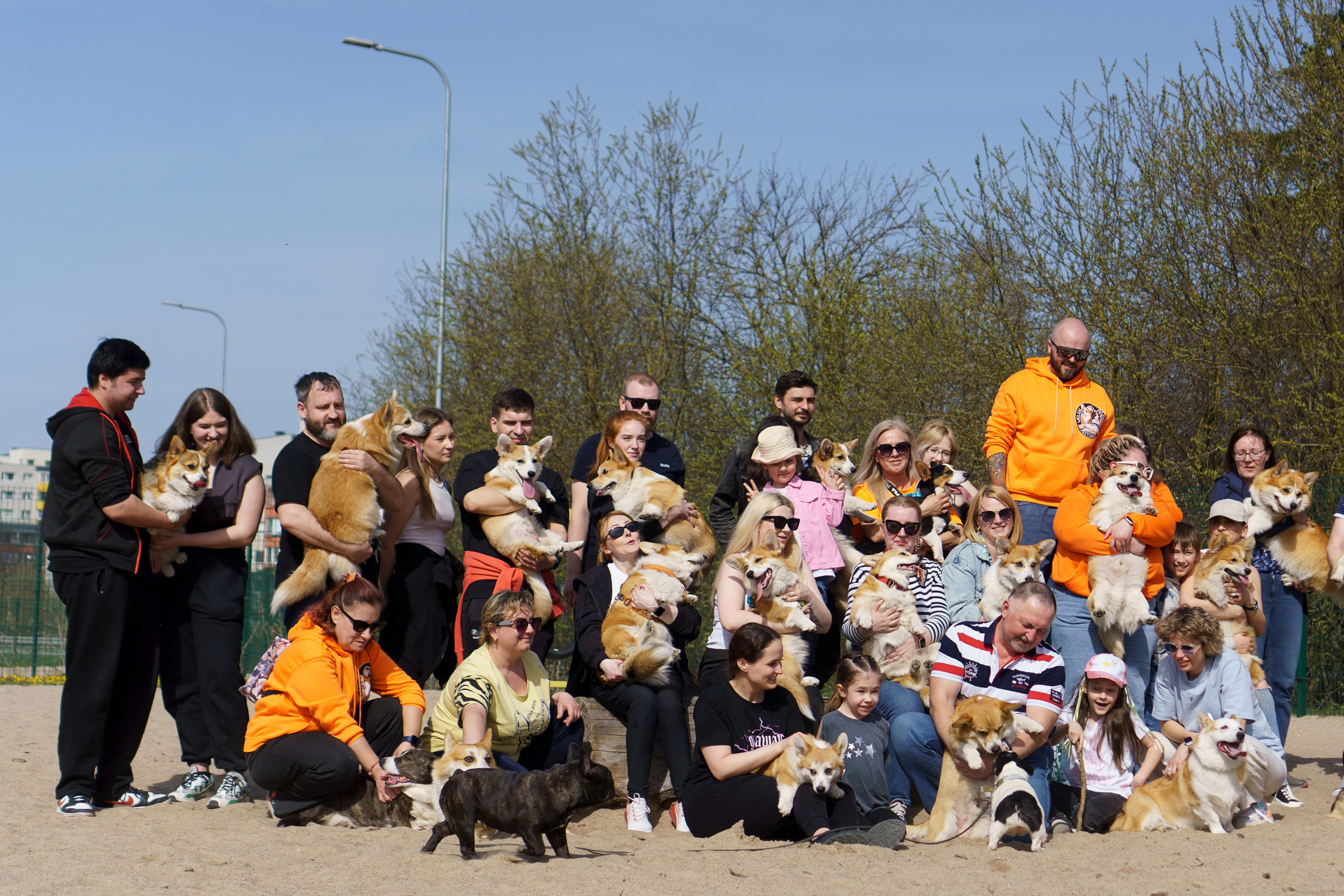Corgi party, 18 apr. 2025. Kat Laisaar — Pet photographer in Tallinn
