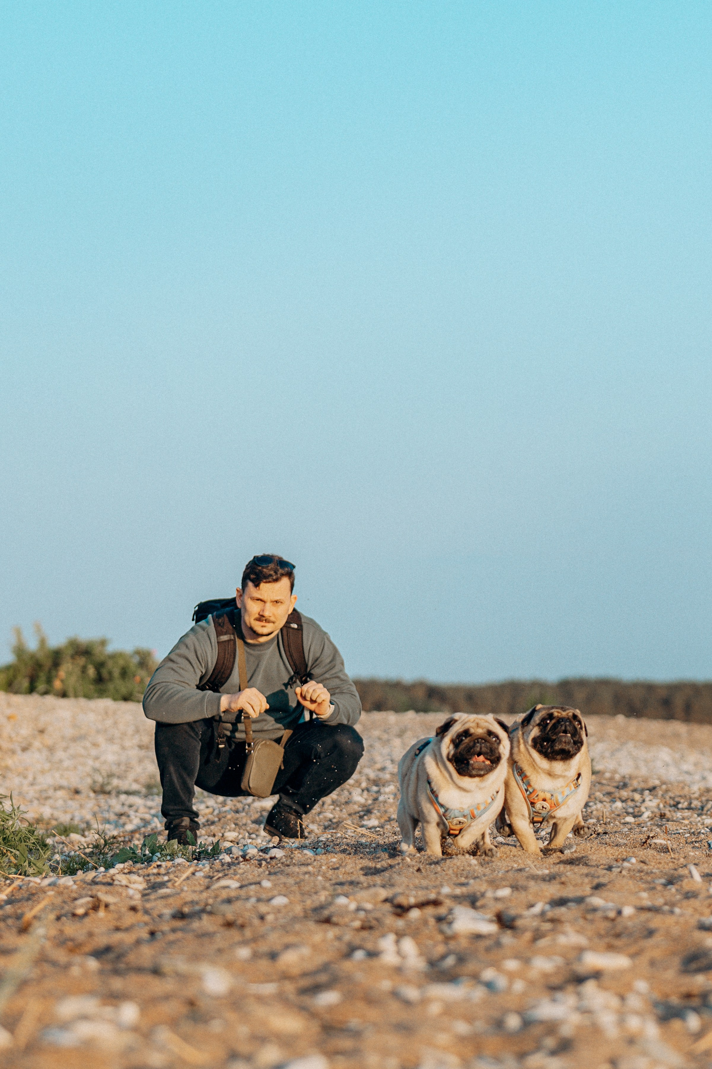 Frank, Tony, Katerina & Lev. Kat Laisaar — Pet photographer in Tallinn