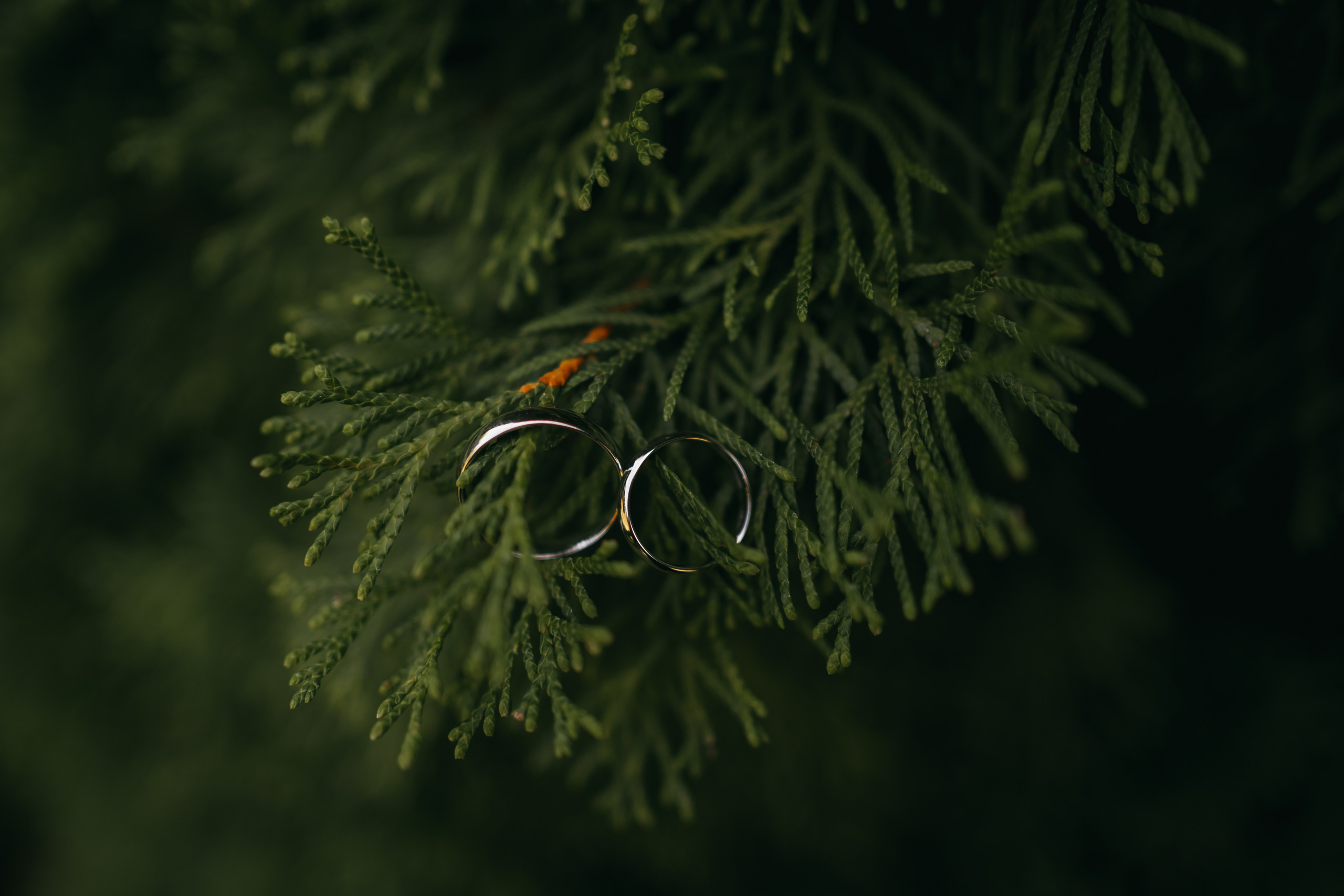 R & E. Fotograf Nunta Iasi - Hearts & Pictures