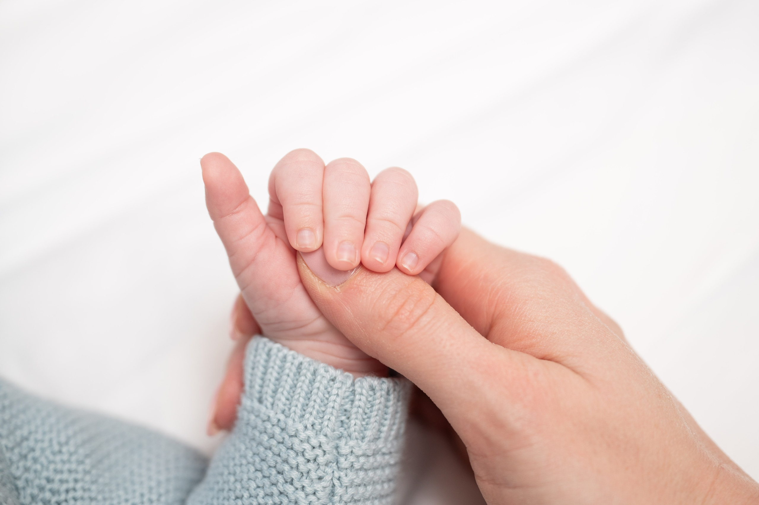 Sebastian. Victoria Lyubchenko — fine art photography in Bismarck, ND