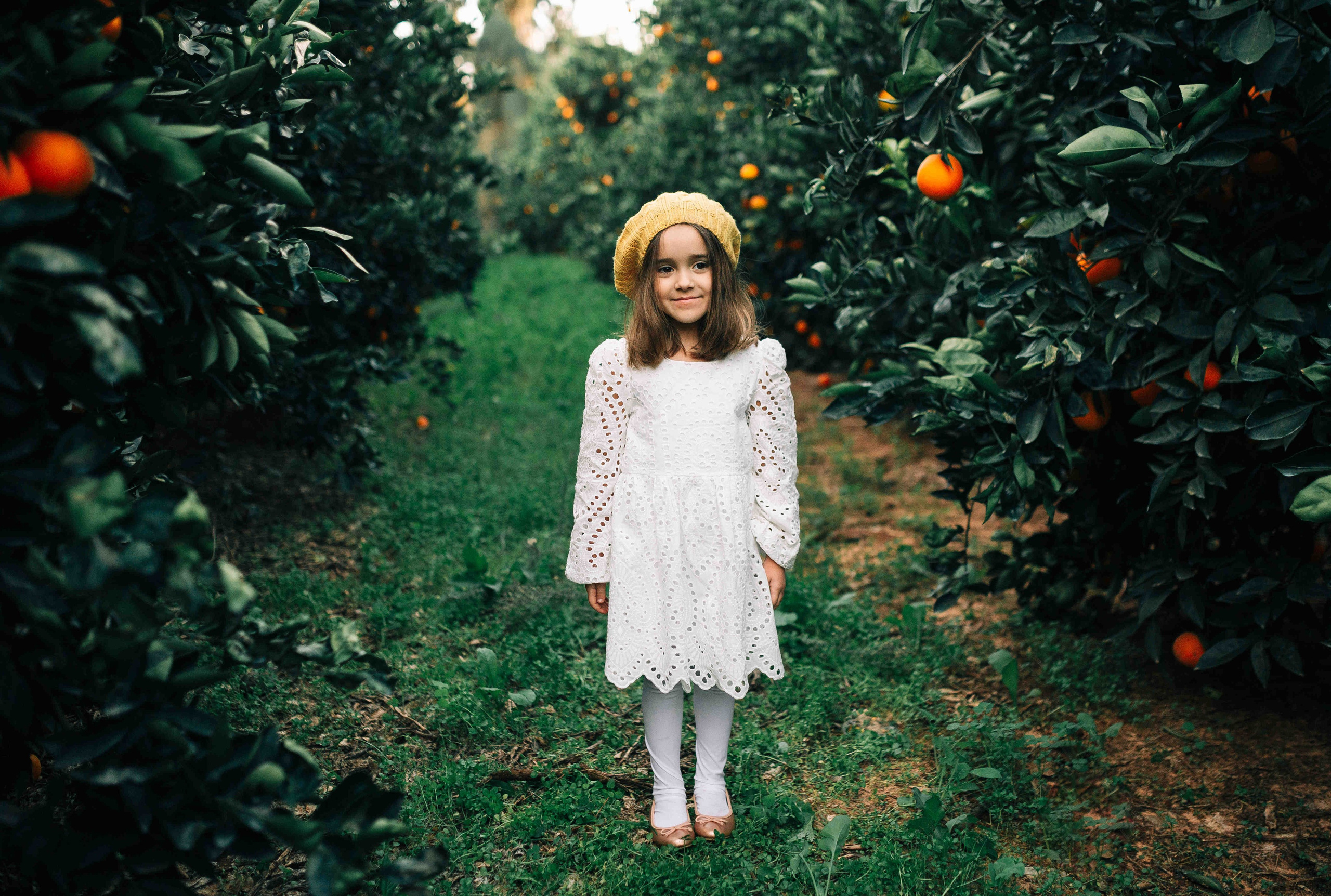 MANDARNINE GARDEN. Https://shi-photo.com/