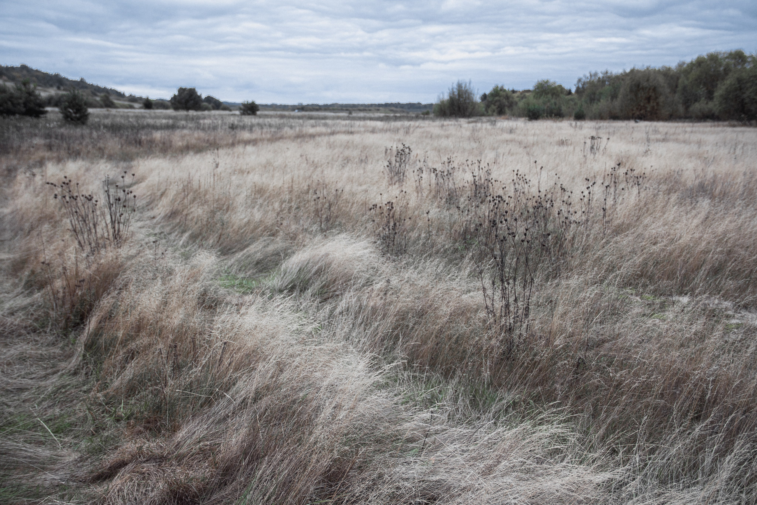 Verlassenes Russland: Manturowo im Gebiet Kostroma. Maria Chistyakovа — Fotografin in Karlsruhe, Baden-Baden und Umgebung