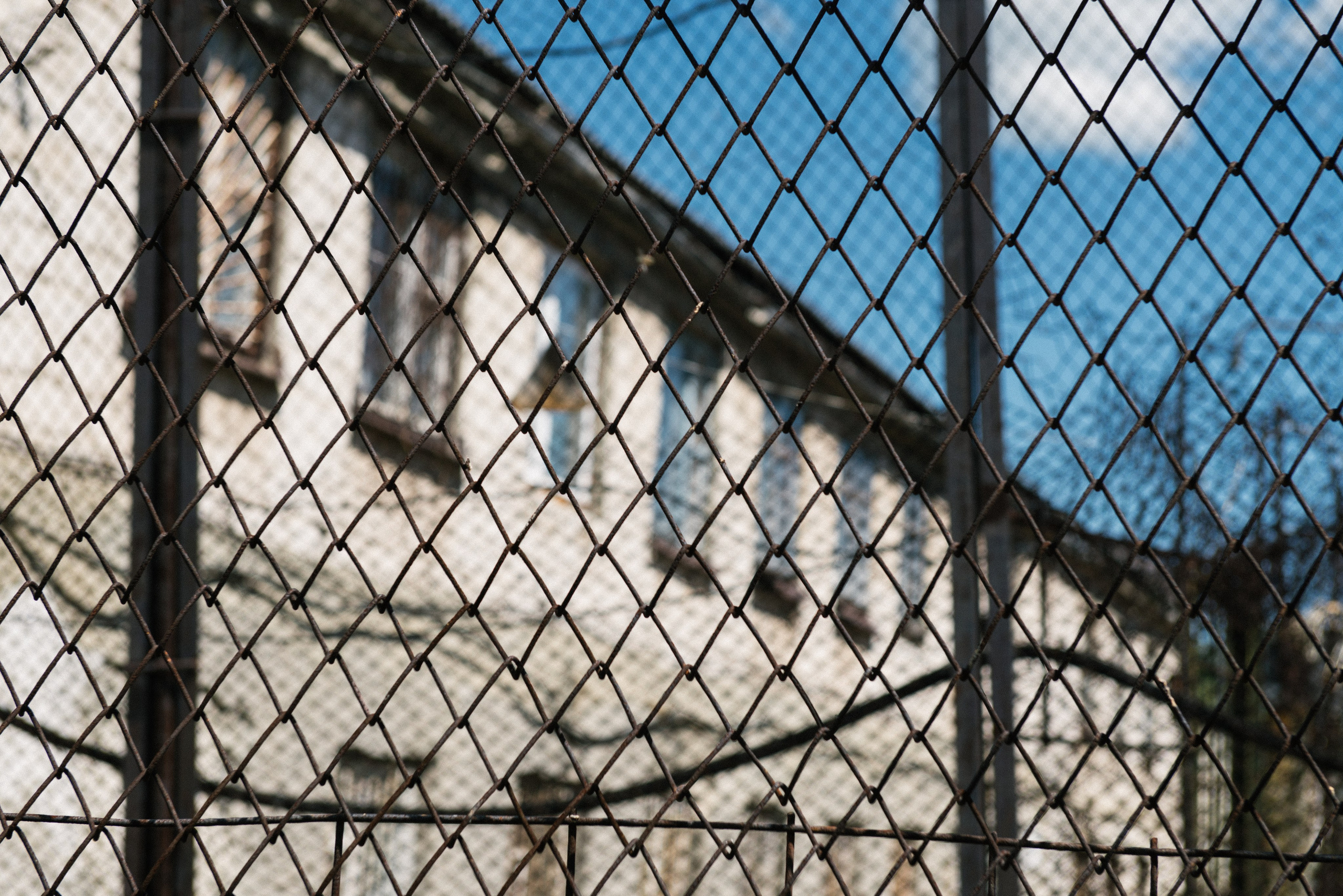 Penitenciarul Brănești. Dan Gutu