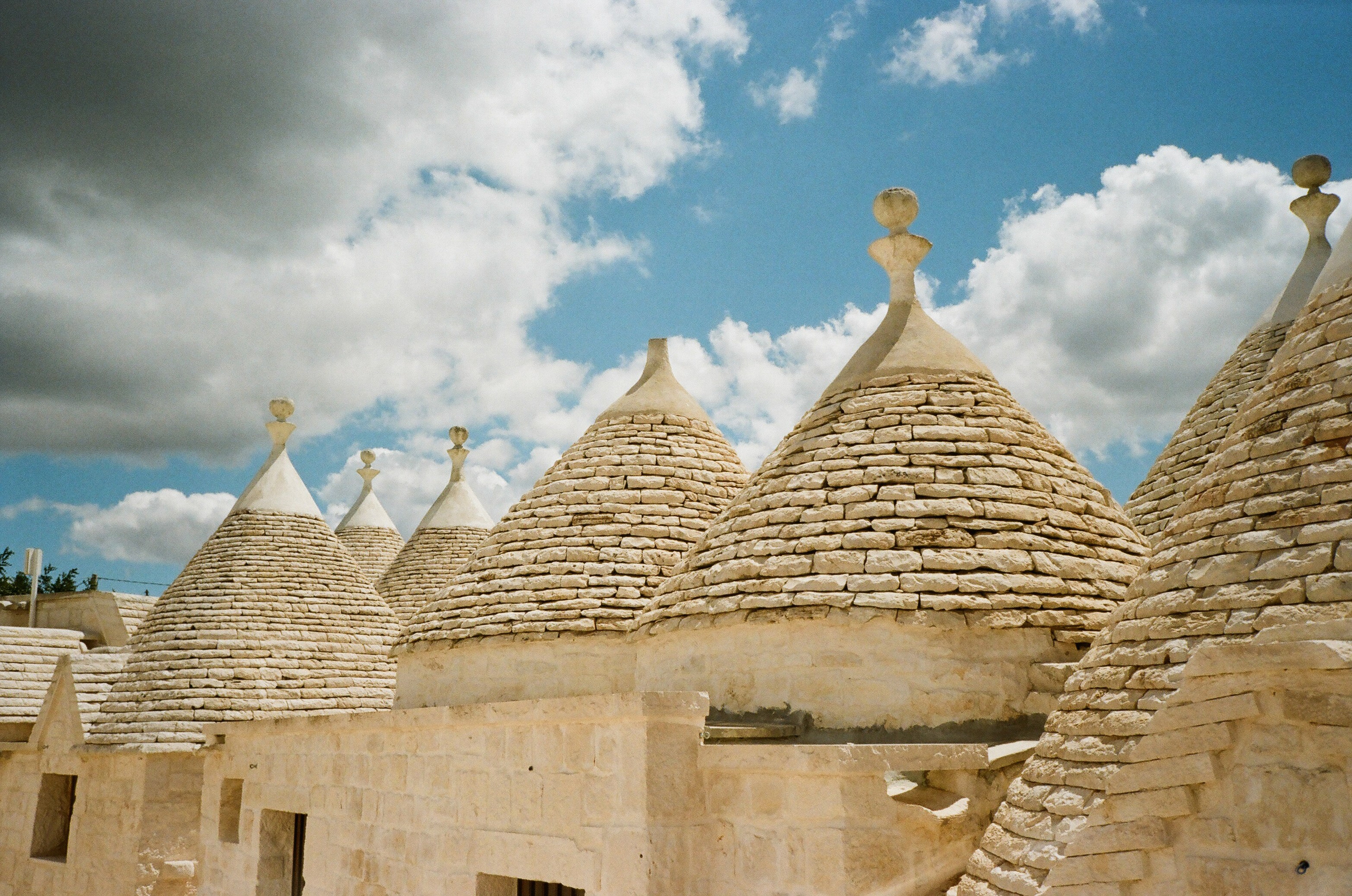Stephanie & Christian film photos. Весільний фотограф Вікторія Саврук