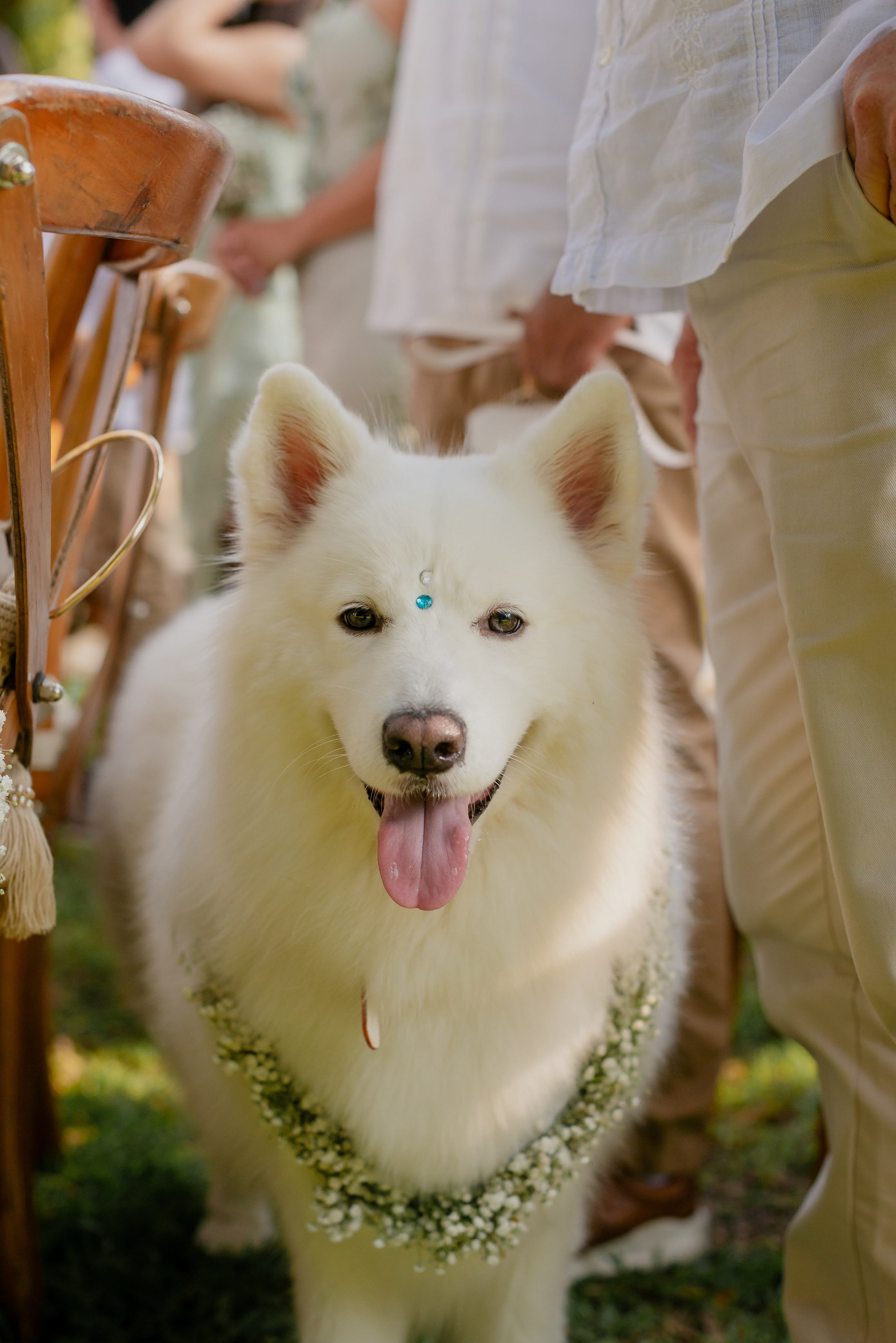La Boda de Paola y Sebastián. Www.dresalgadophoto.com