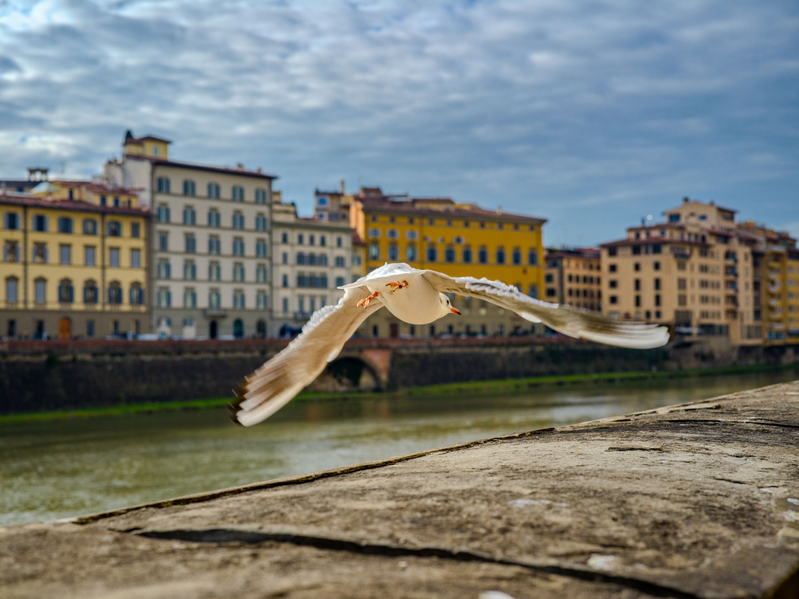 Фотосъёмка интерьеров и архитектуры | Италия, Верона, Милан, Комо, Гарда. Ale Kor — Фотограф в Италии | озеро Комо, озеро Гарда, Верона, Доломиты