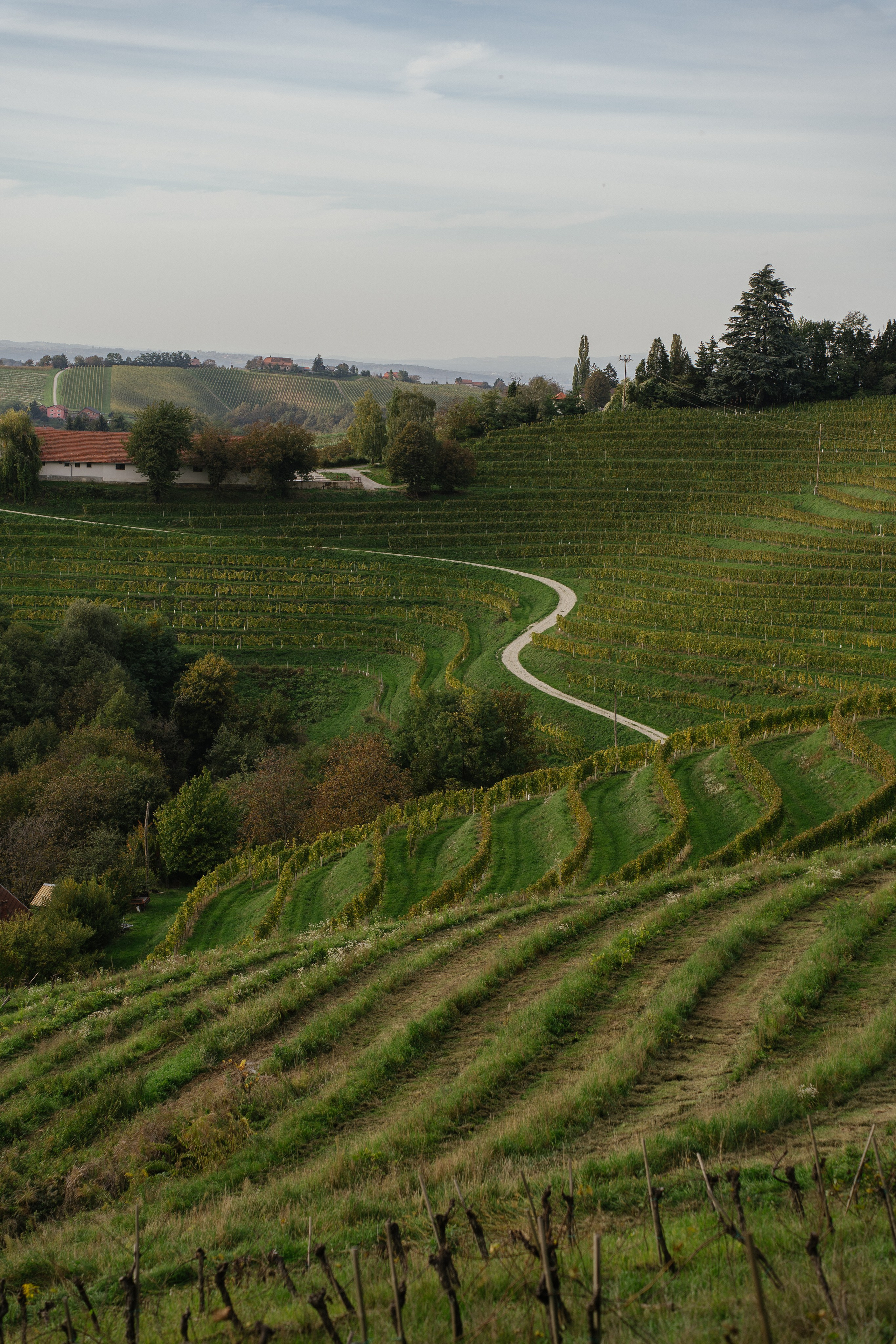 A dreamy scenery. Patricia Morenci — Mountain Adventures for the Wild at Heart
