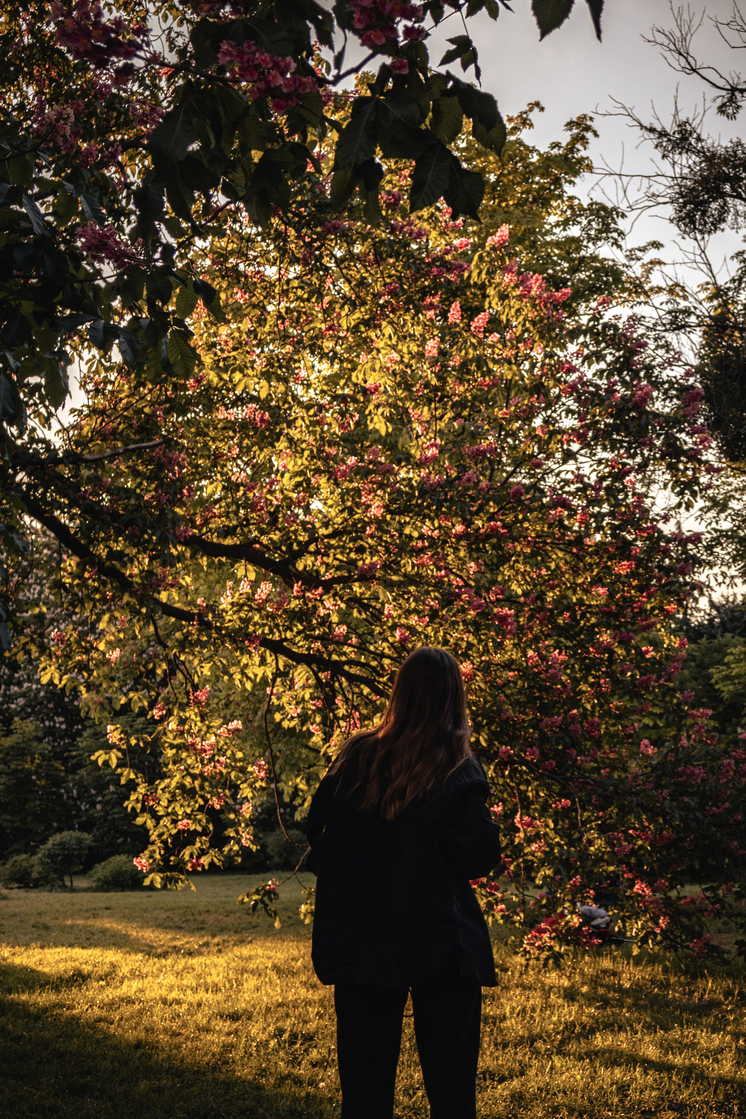 Alisa. Дизайнер и Фотограф в Кишинёве Бусуйок Станислав