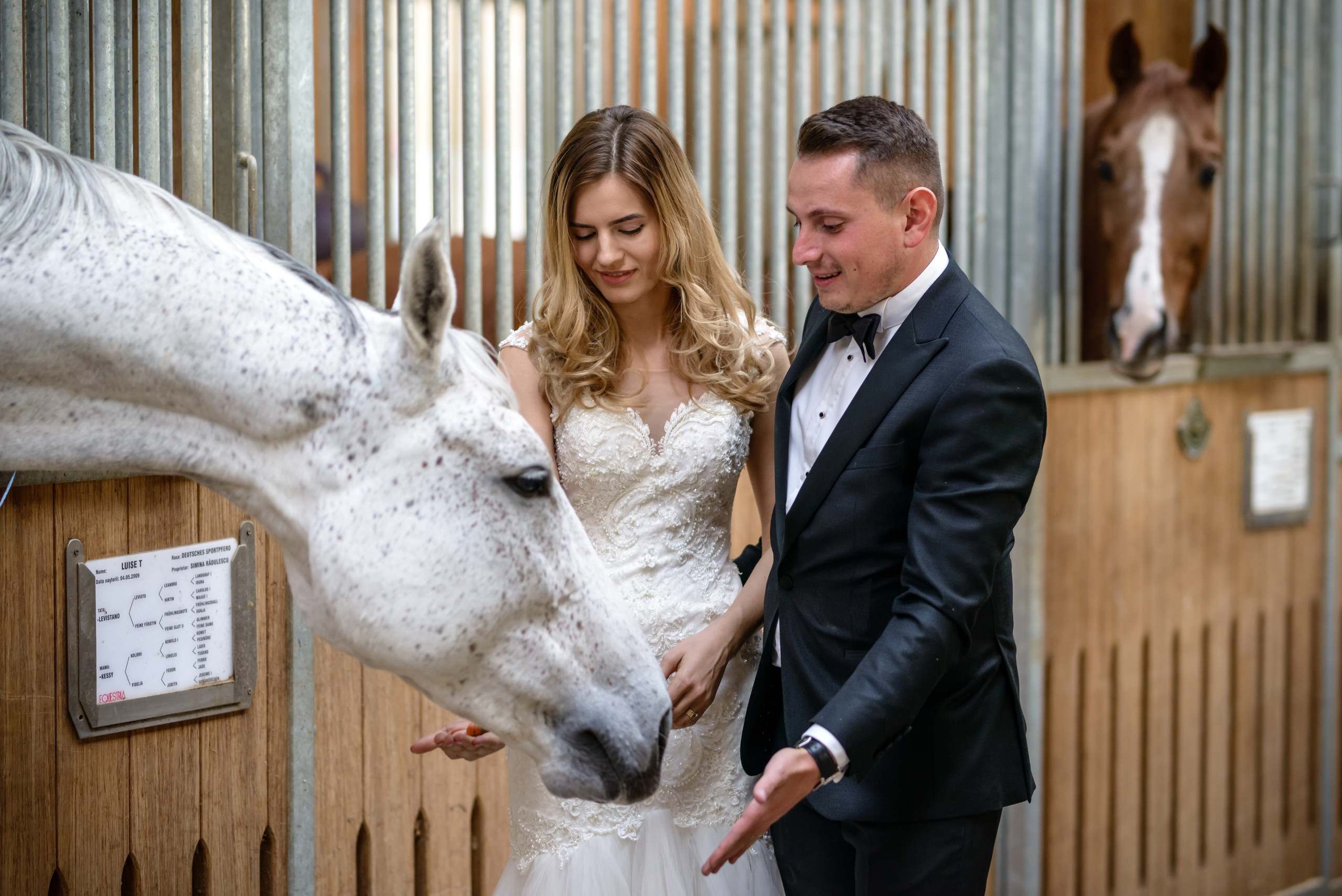 After Wedding - Diana + Marius