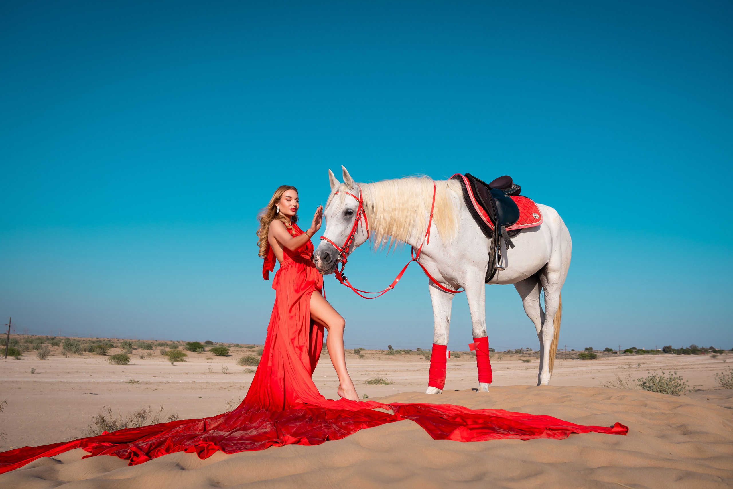 With horses and camels. Photographer and videographer in Dubai Dmitry Gromov