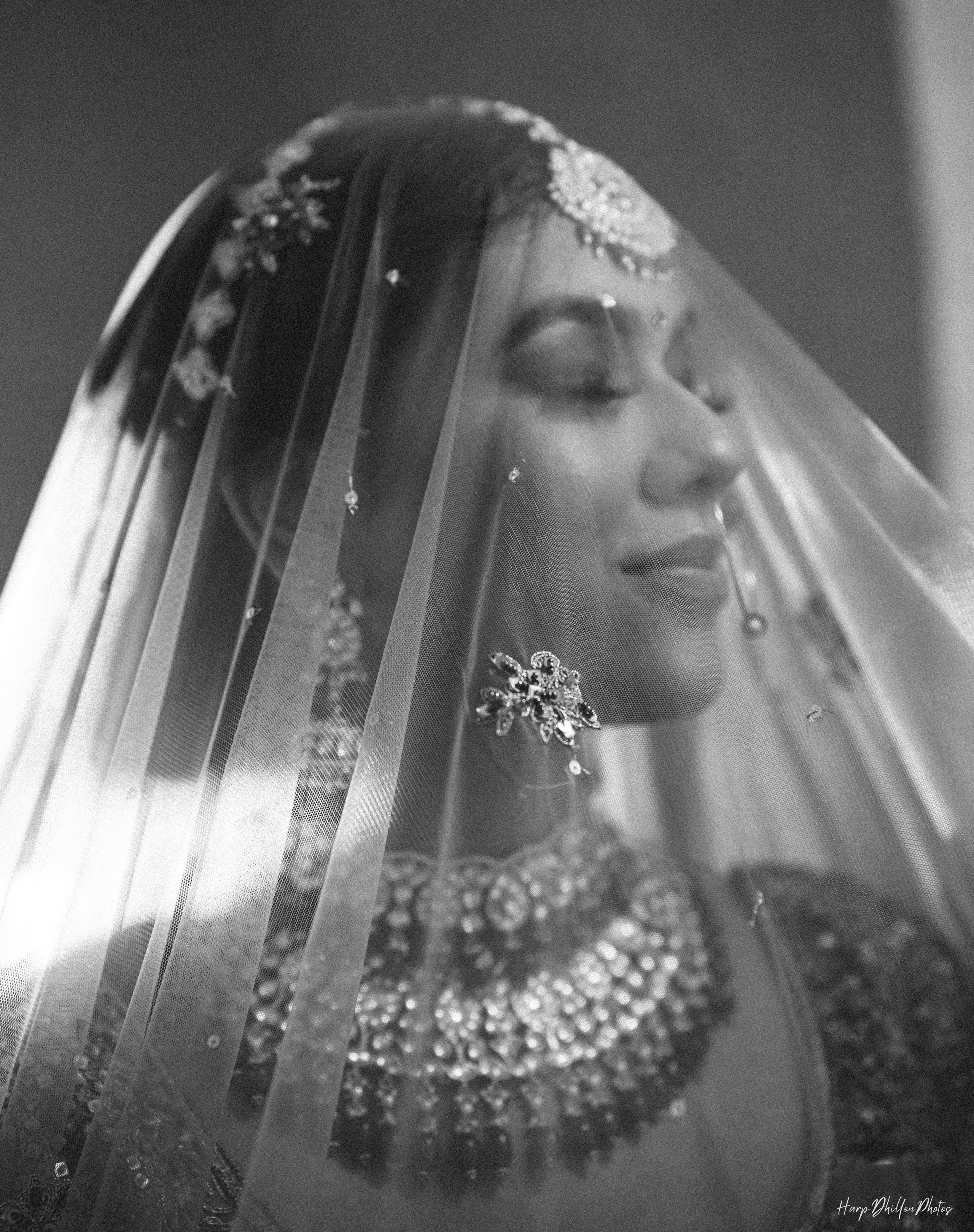 Portfolio. HarpDhillon Photos