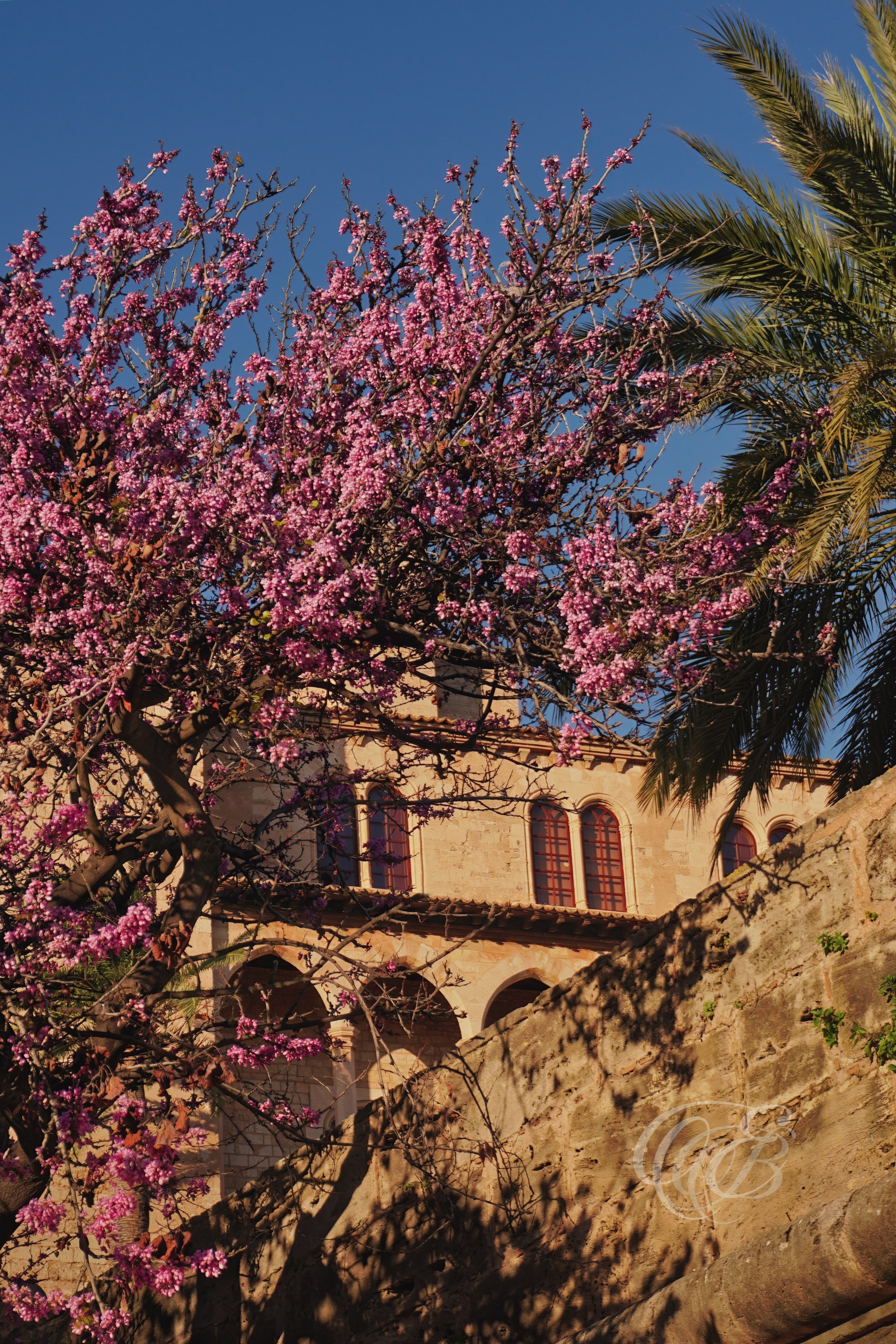 Mallorca. Eduardo Bartoli Fine Art Photography