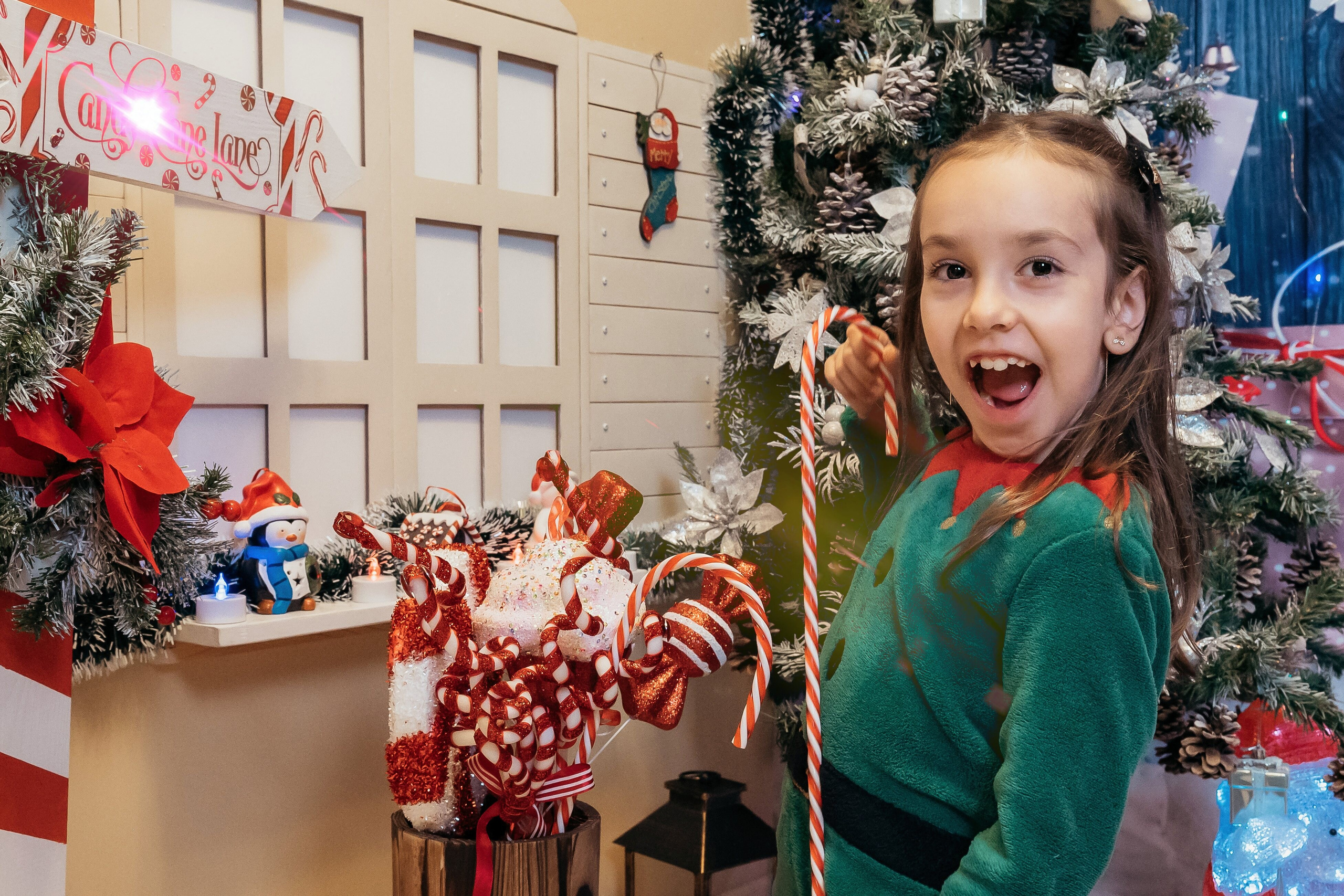 Sedinta Craciun Sofia