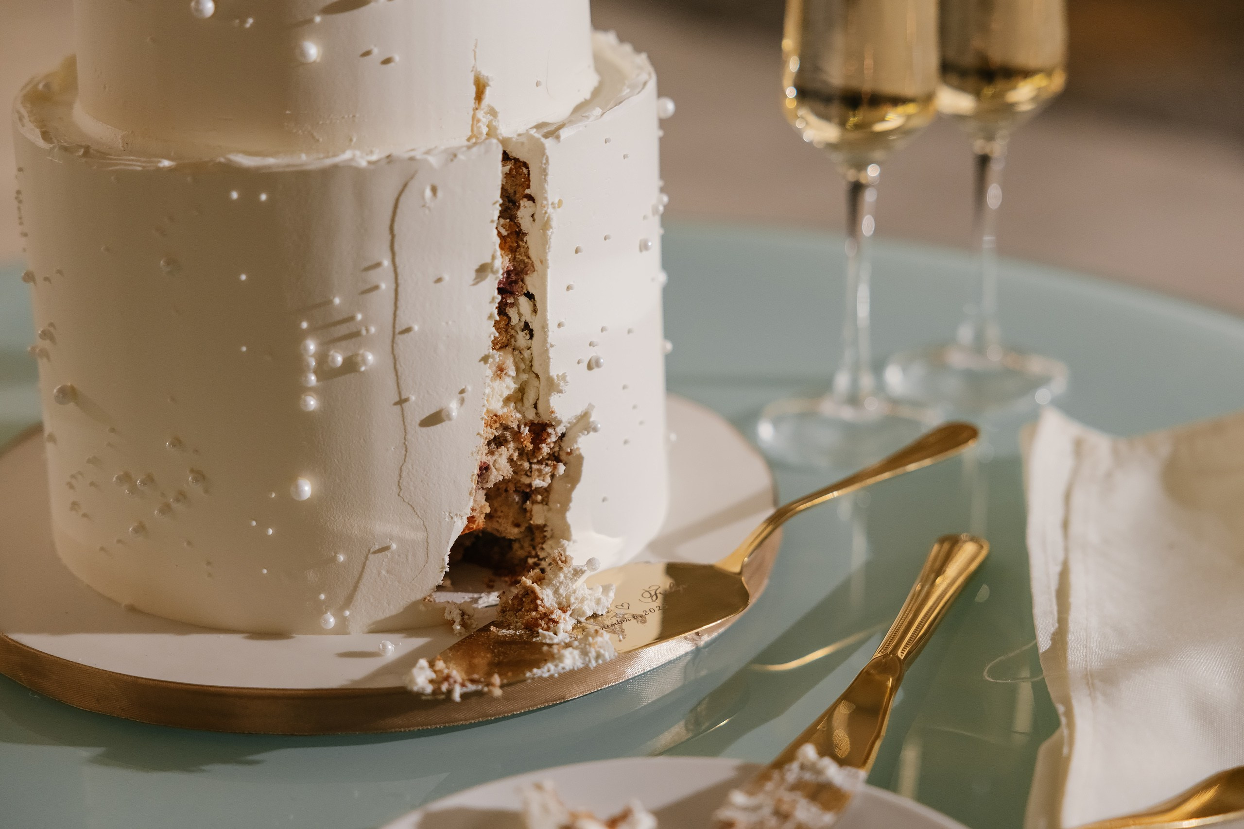 09.06.2025 Wedding. Wedding family event photographer in Chicago Nick Yushevich