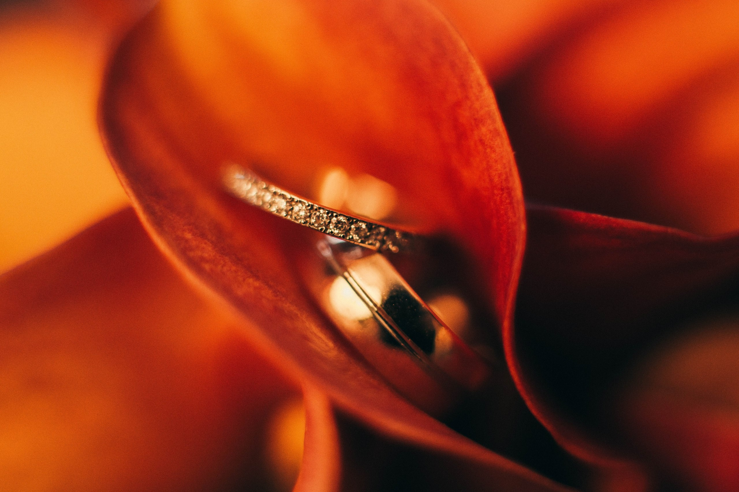 Фотограф в Черногории. Фотограф в Черногории. Свадьбы, фотопортреты, репортаж