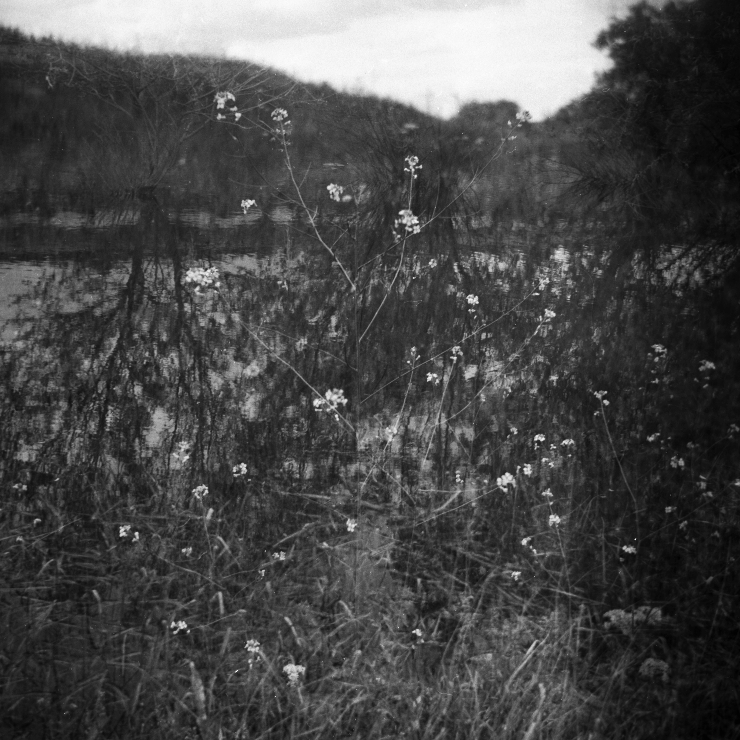 Tender Infinite Souls. Natalia Parfenova visual artist film photographer