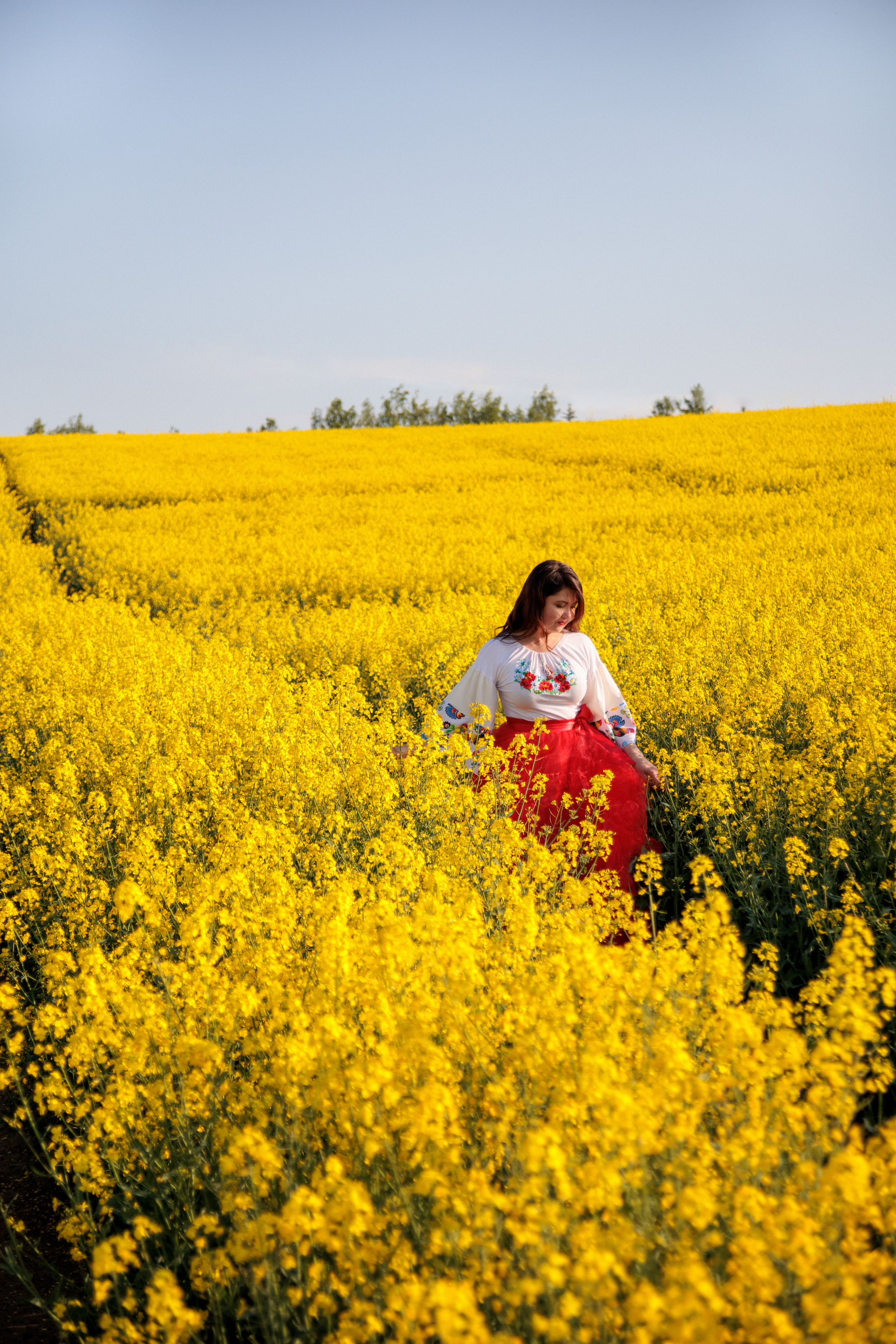 Sesja w rzepaku – czyli lato na tapecie. Anna Rudnichenko Fotograf Szczecin / Анна Рудніченко Фотограф Щецин