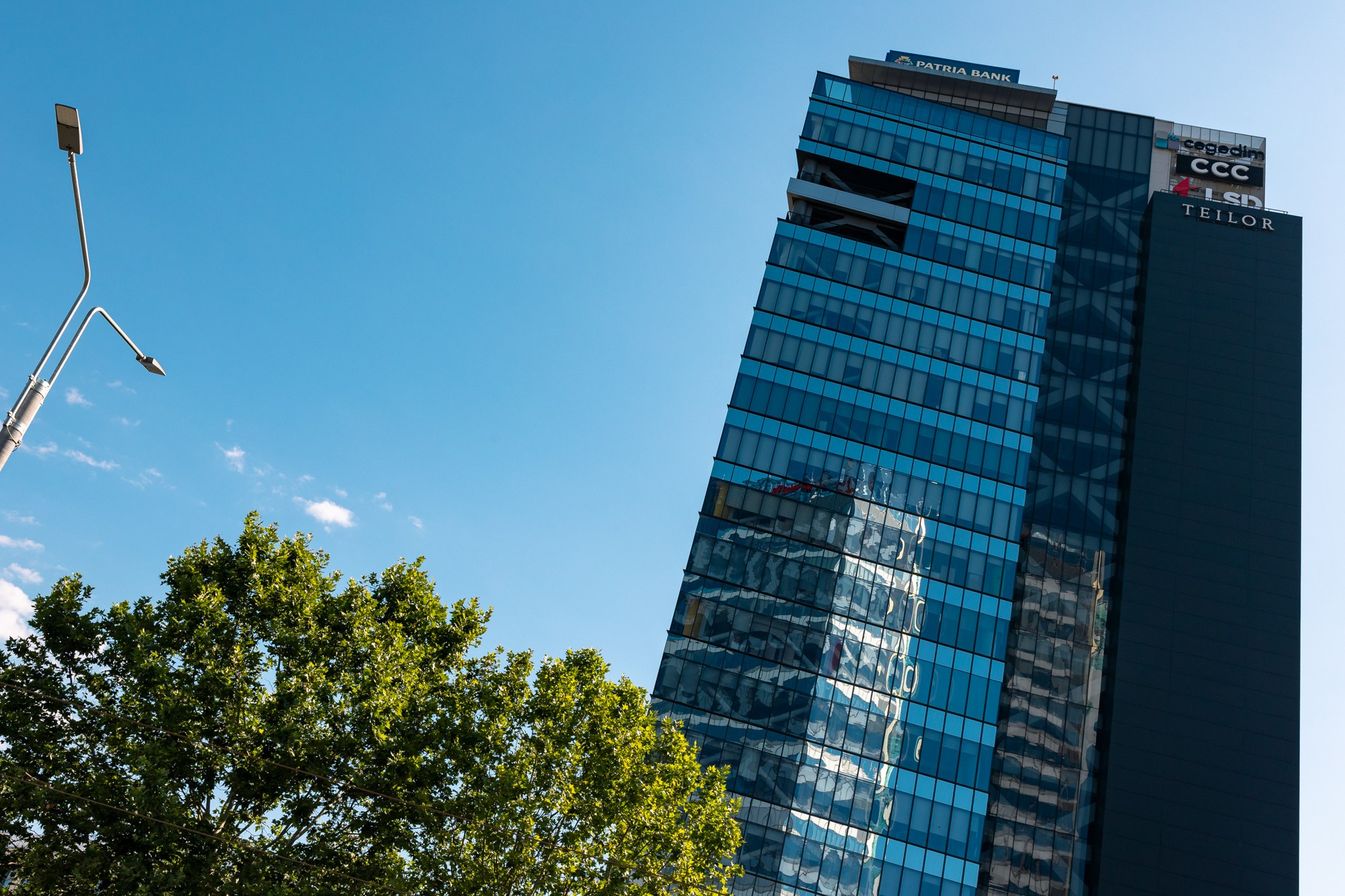 The Grid. A Creative Insight | Catalin Nastase