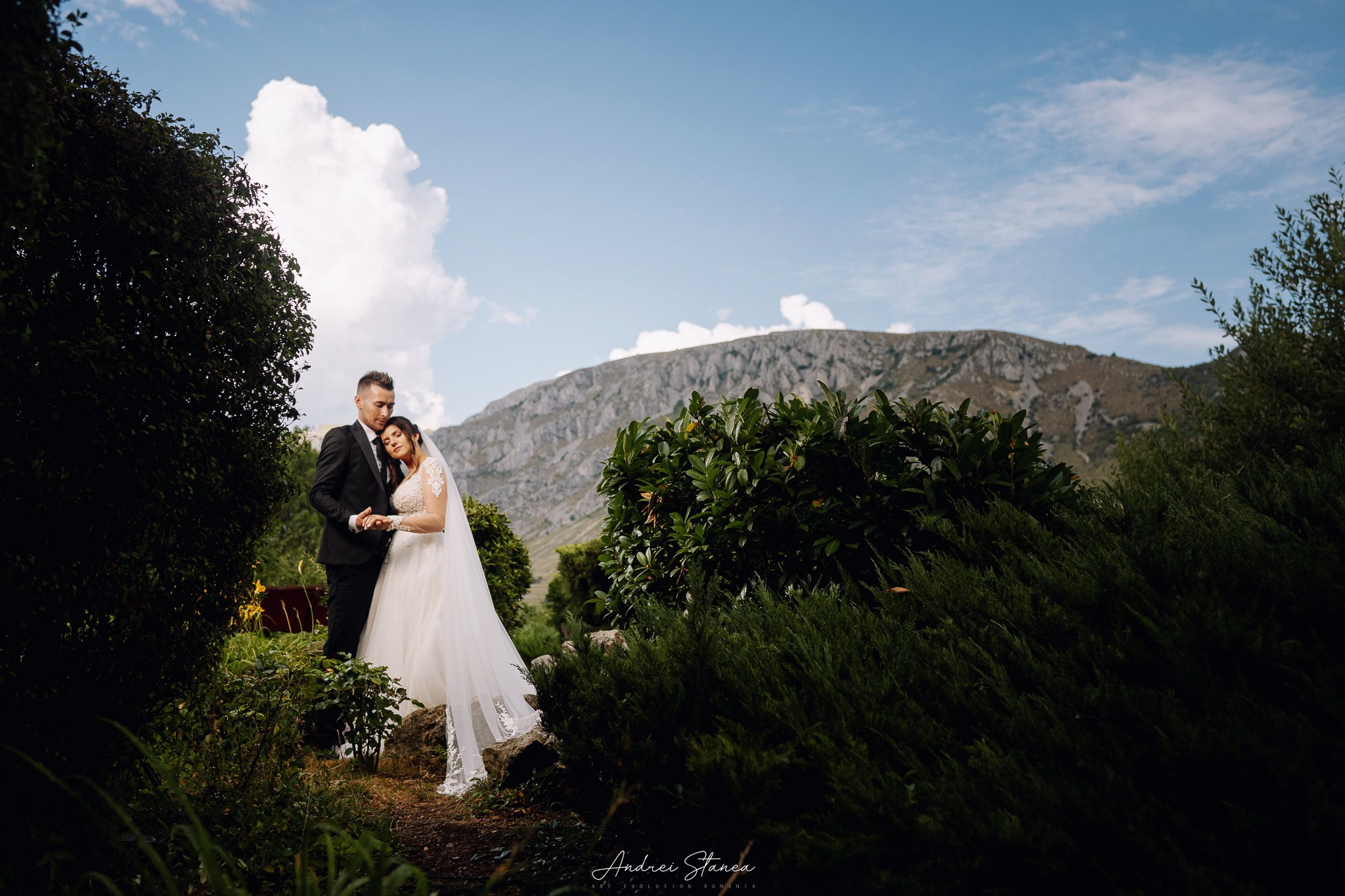 Portofolio. Andrei Stanea