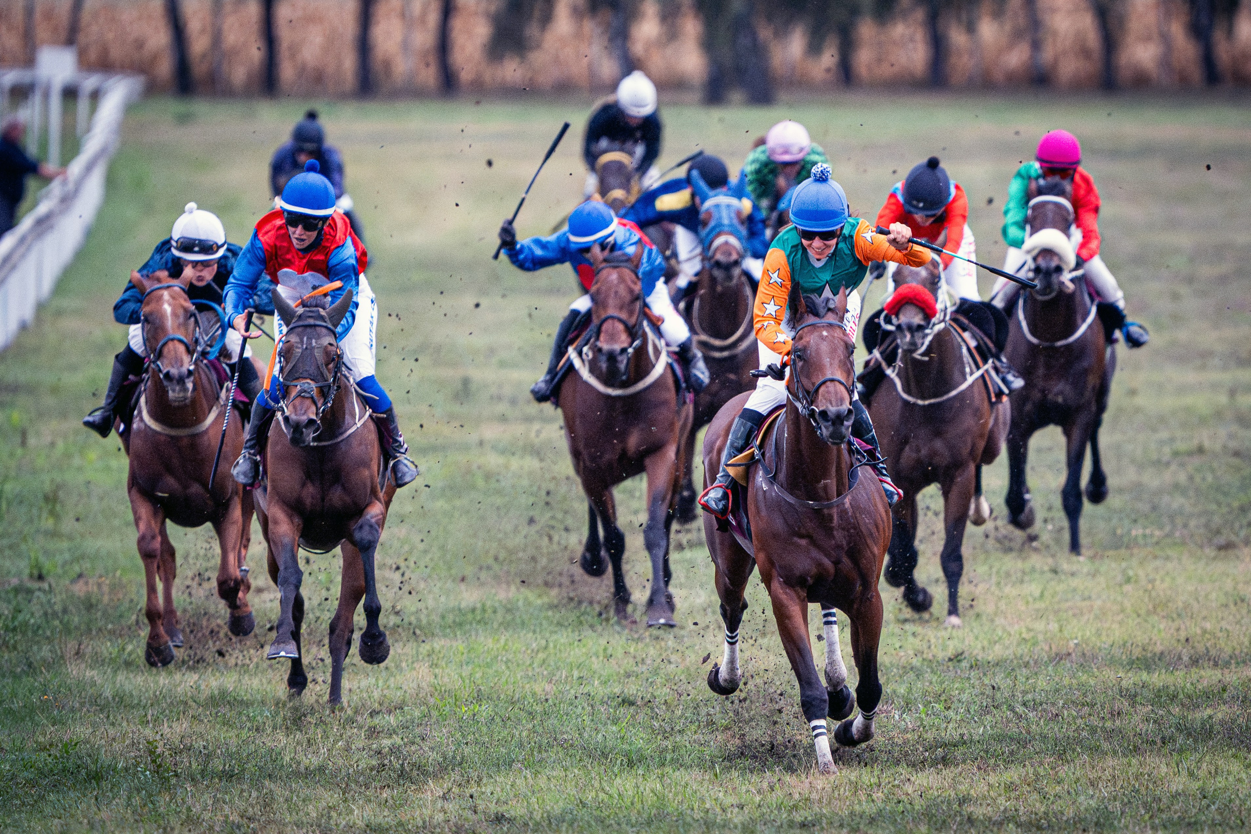 Sport. Wedding photography