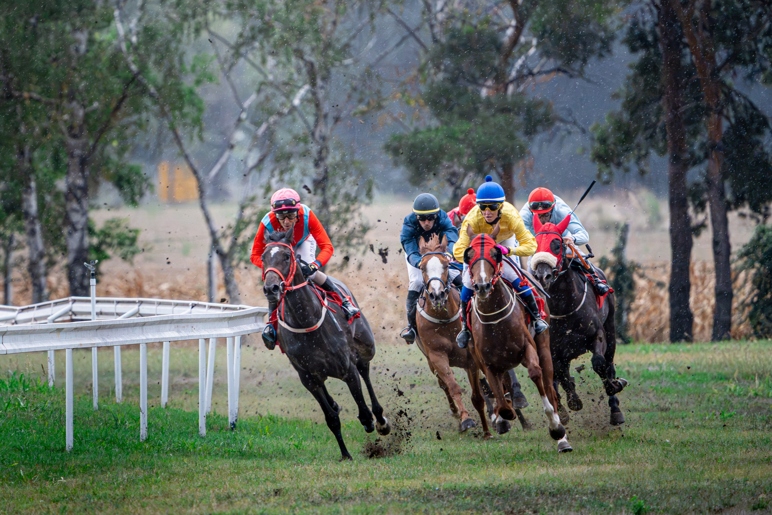 Sport. Wedding photography