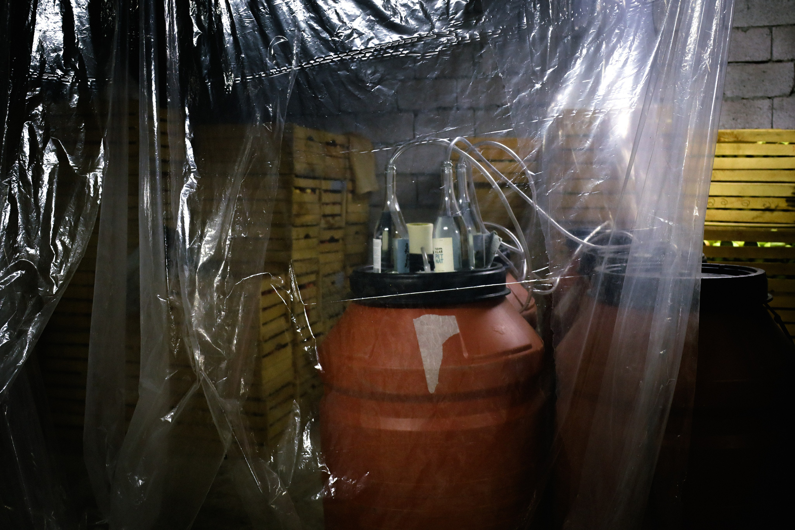 Factory reportage (hand-crafted cider). Asmikiam