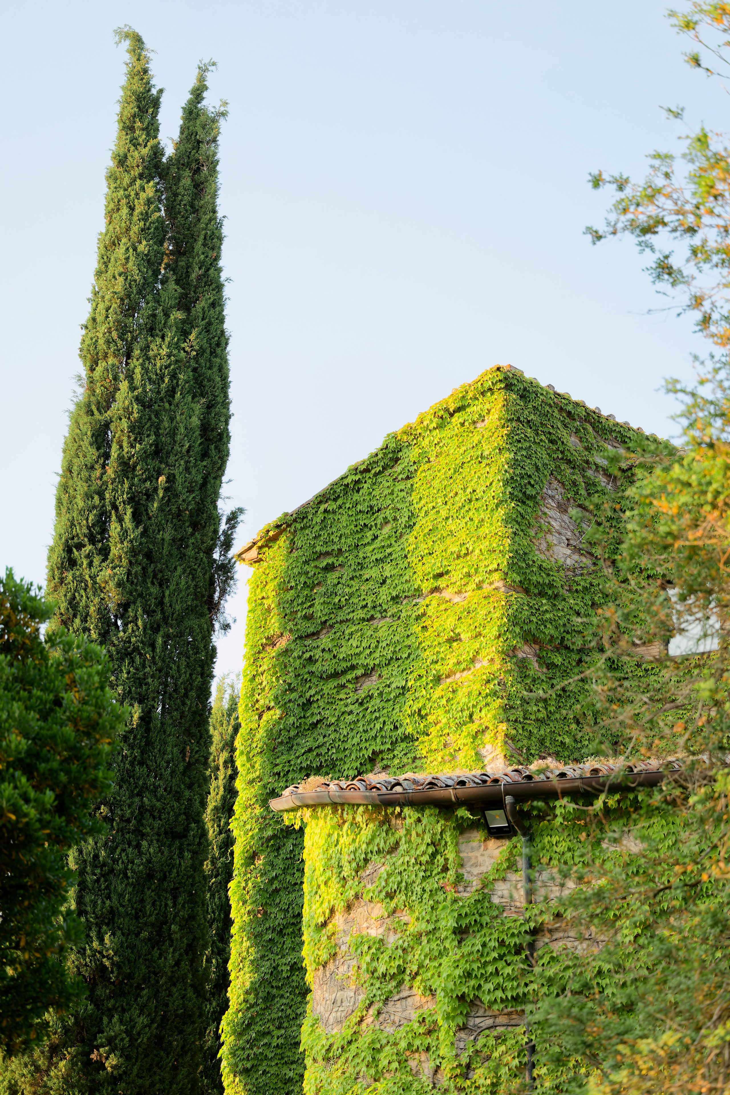 Wedding at Borgo Bastia Creti, Umbria