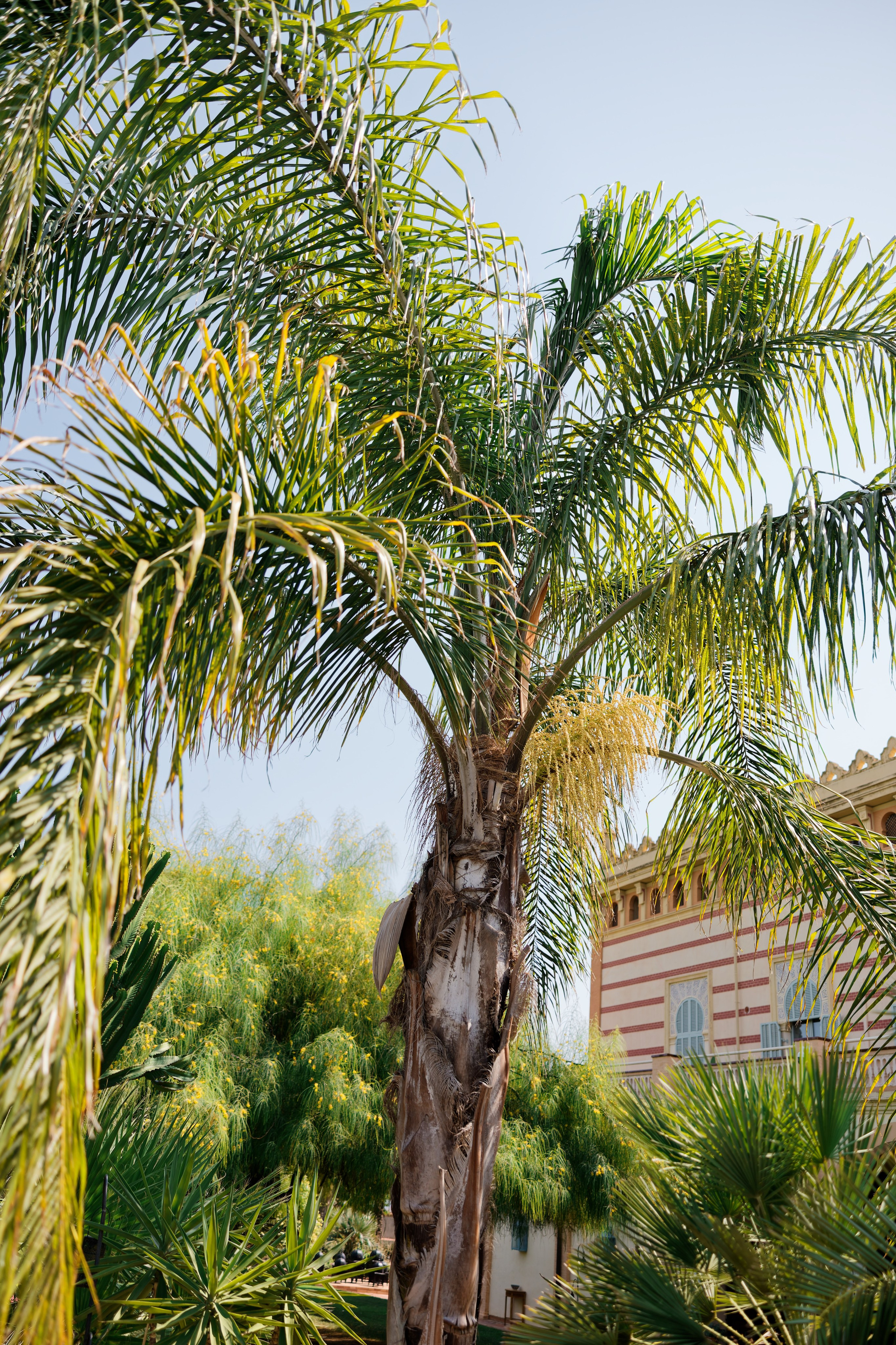Indian wedding at Gran Villa Rosa, Barcelona